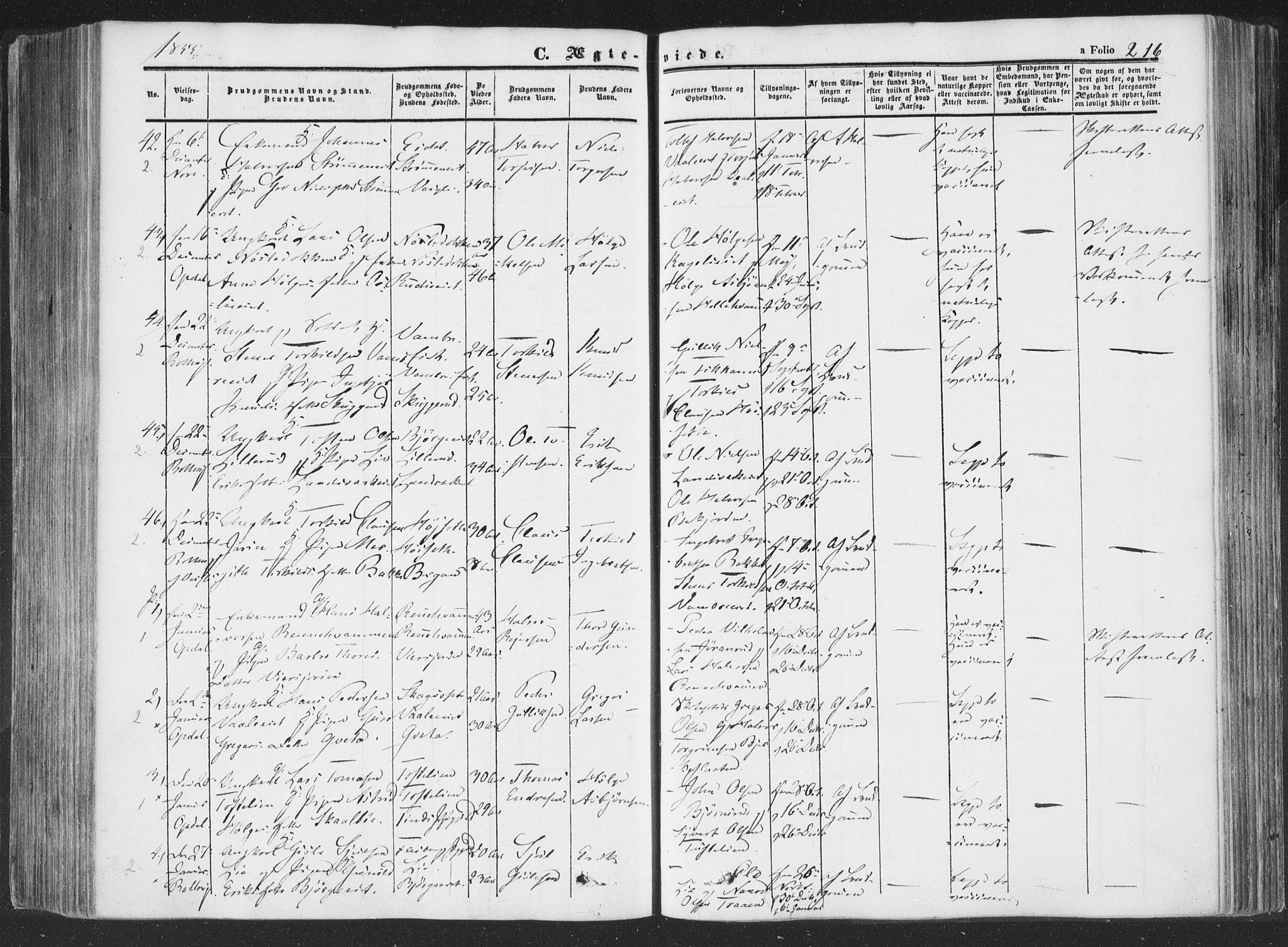 Rollag kirkebøker, SAKO/A-240/F/Fa/L0008: Parish register (official) no. I 8, 1847-1860, p. 216