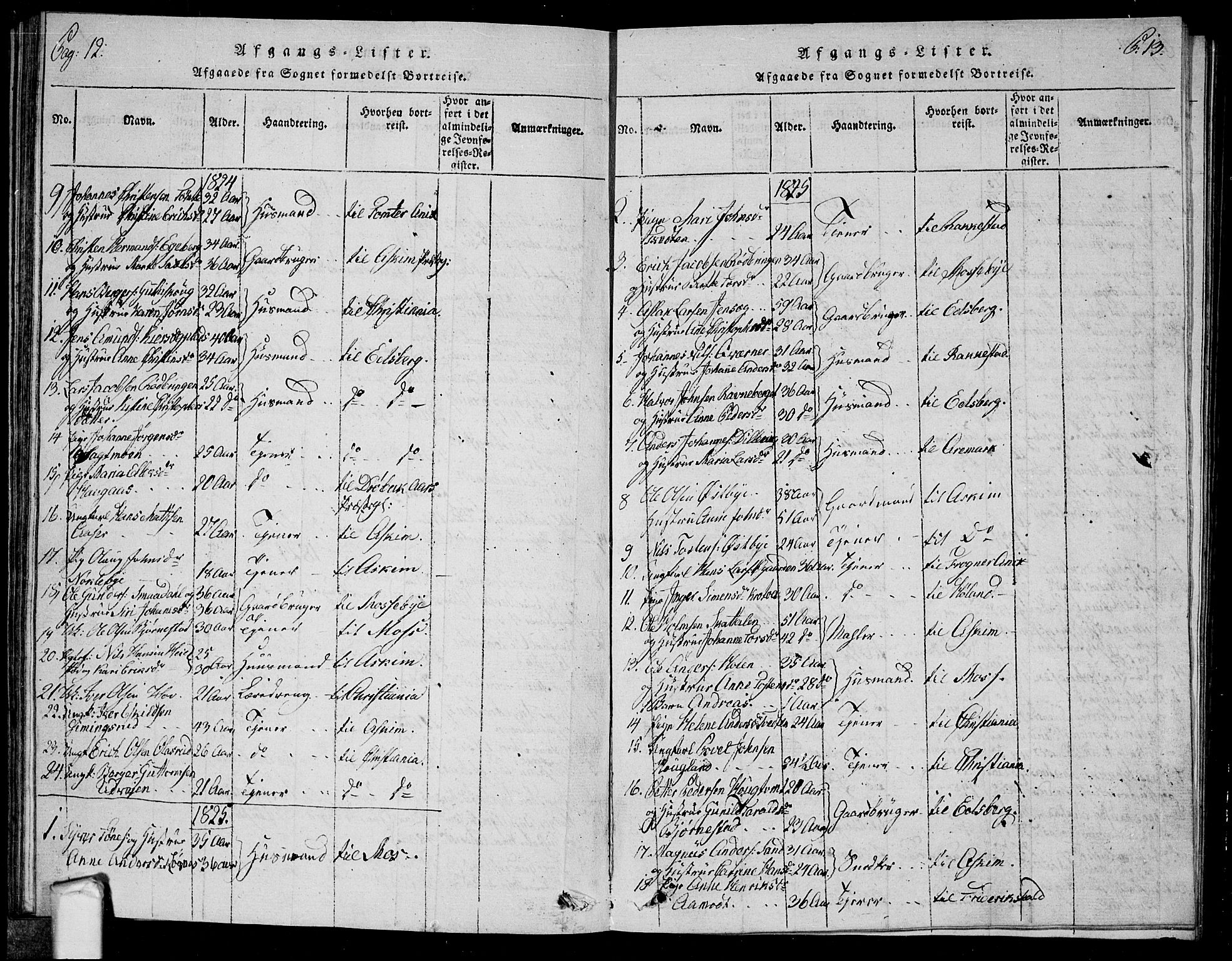 Trøgstad prestekontor Kirkebøker, SAO/A-10925/G/Ga/L0001: Parish register (copy) no. I 1, 1815-1831, p. 12-13