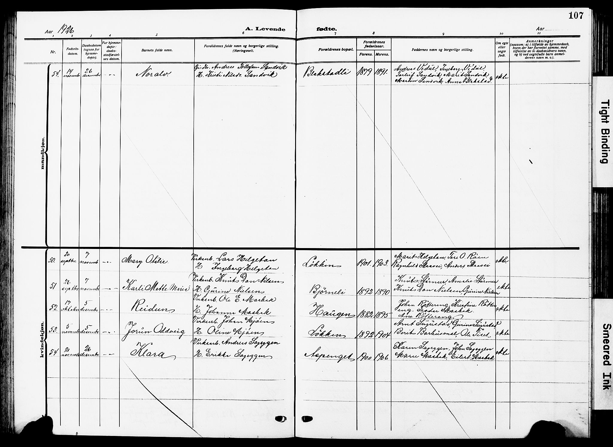Ministerialprotokoller, klokkerbøker og fødselsregistre - Sør-Trøndelag, SAT/A-1456/672/L0865: Parish register (copy) no. 672C04, 1914-1928, p. 107
