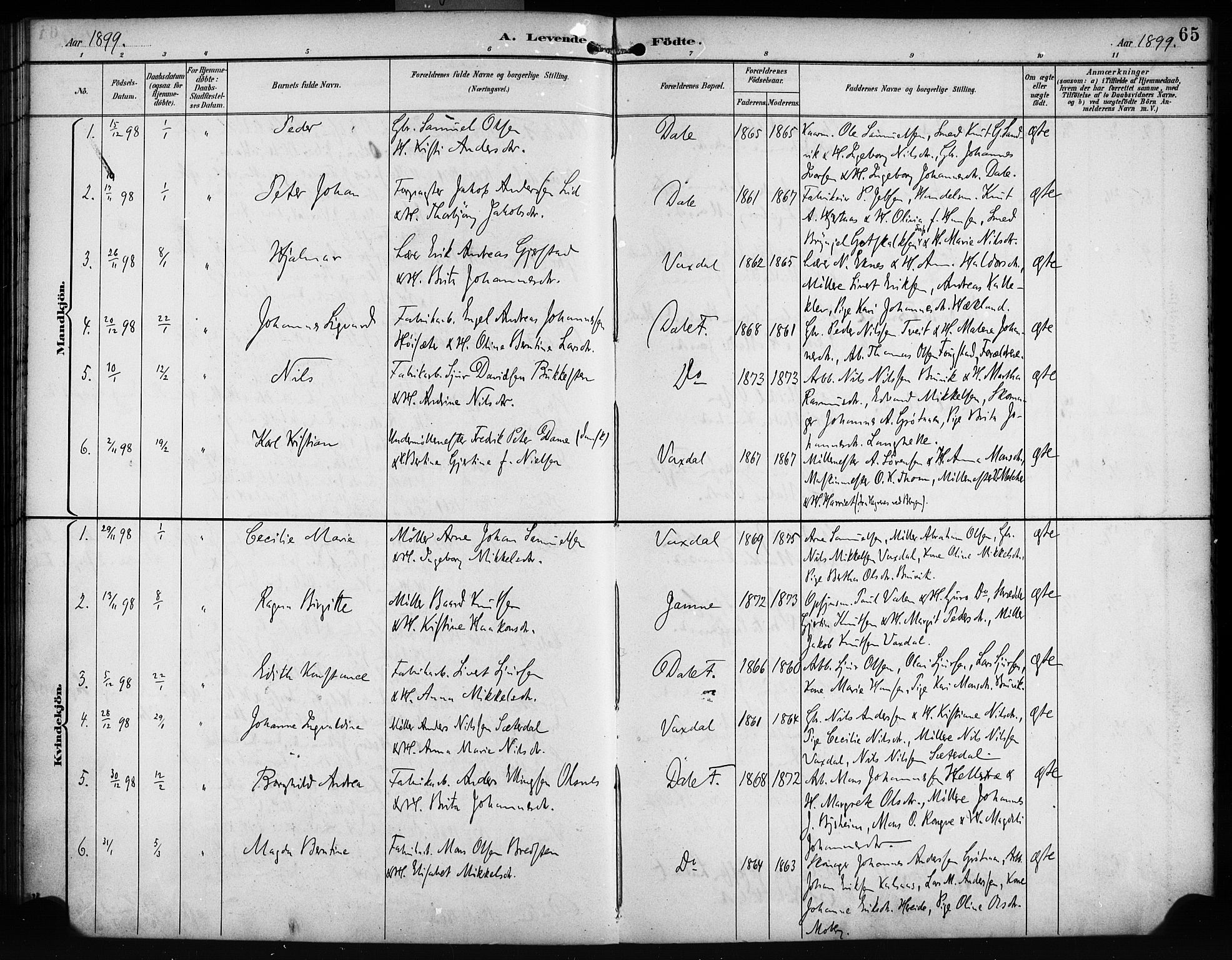 Bruvik Sokneprestembete, SAB/A-74701/H/Haa: Parish register (official) no. B 2, 1893-1903, p. 65