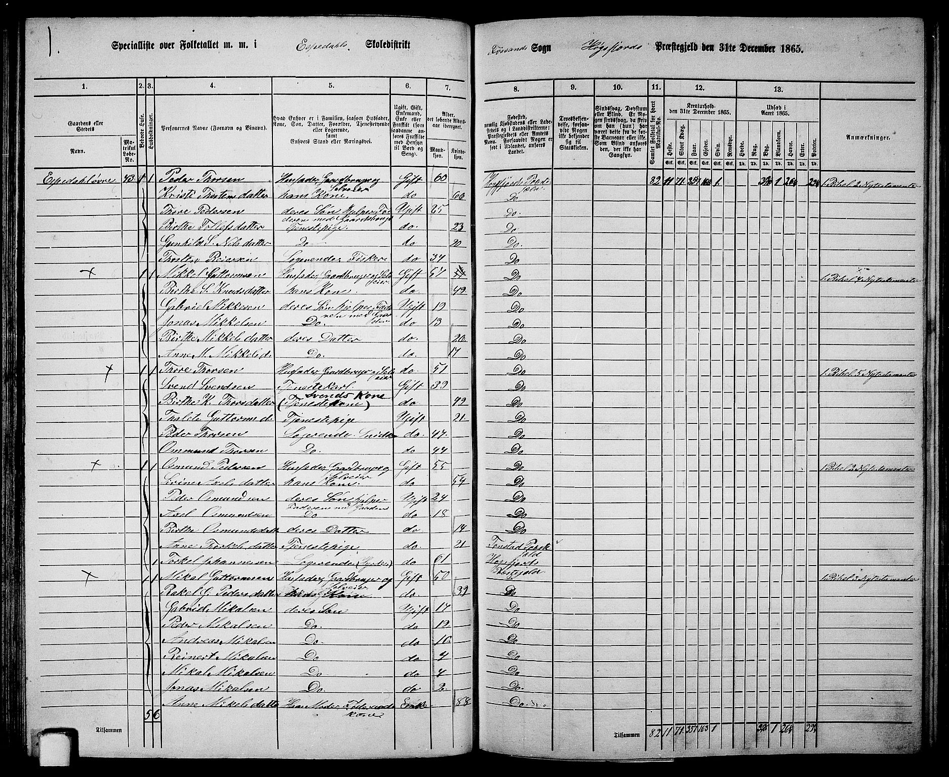 RA, 1865 census for Høgsfjord, 1865, p. 61