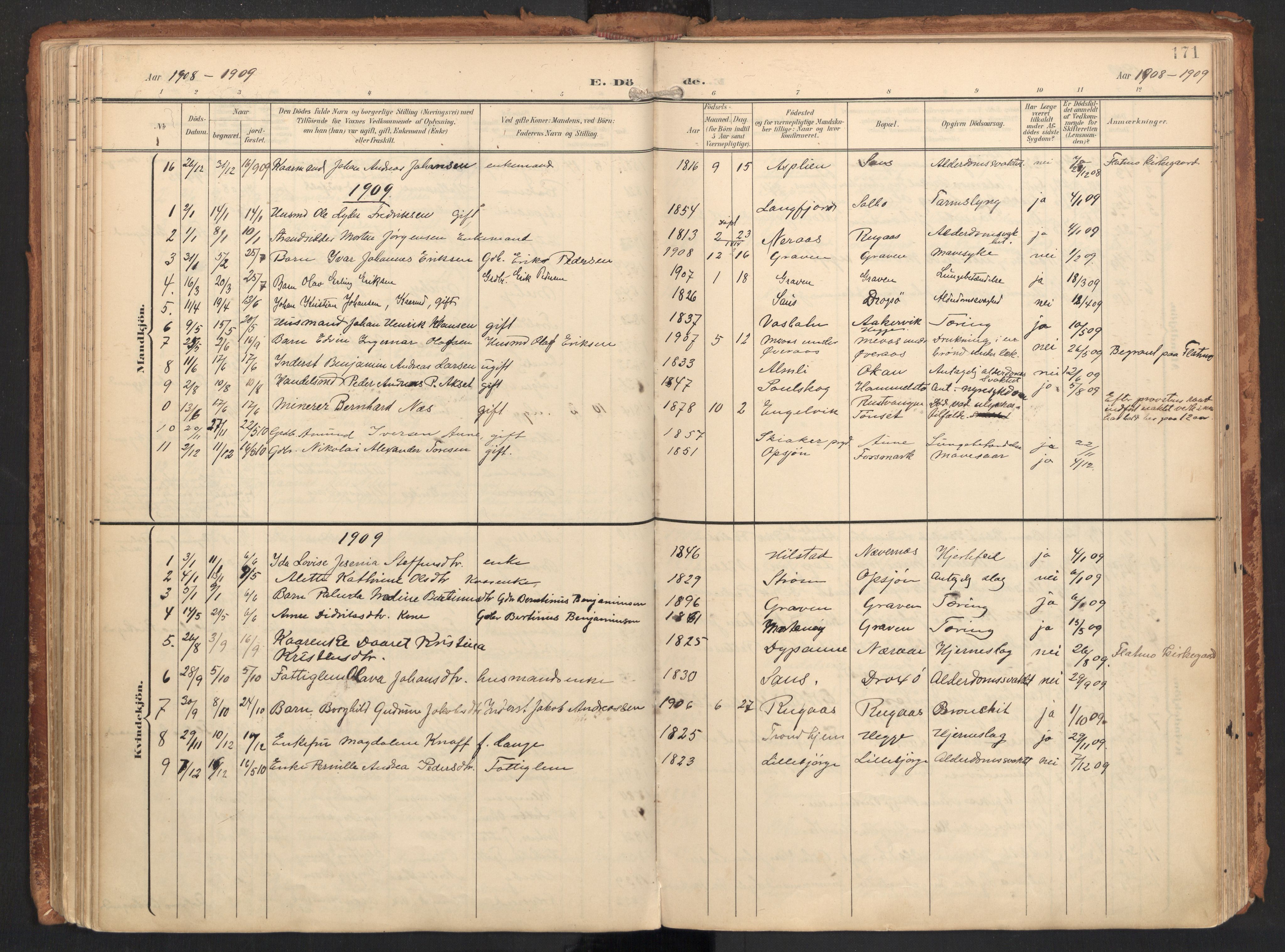Ministerialprotokoller, klokkerbøker og fødselsregistre - Nordland, SAT/A-1459/814/L0227: Parish register (official) no. 814A08, 1899-1920, p. 171