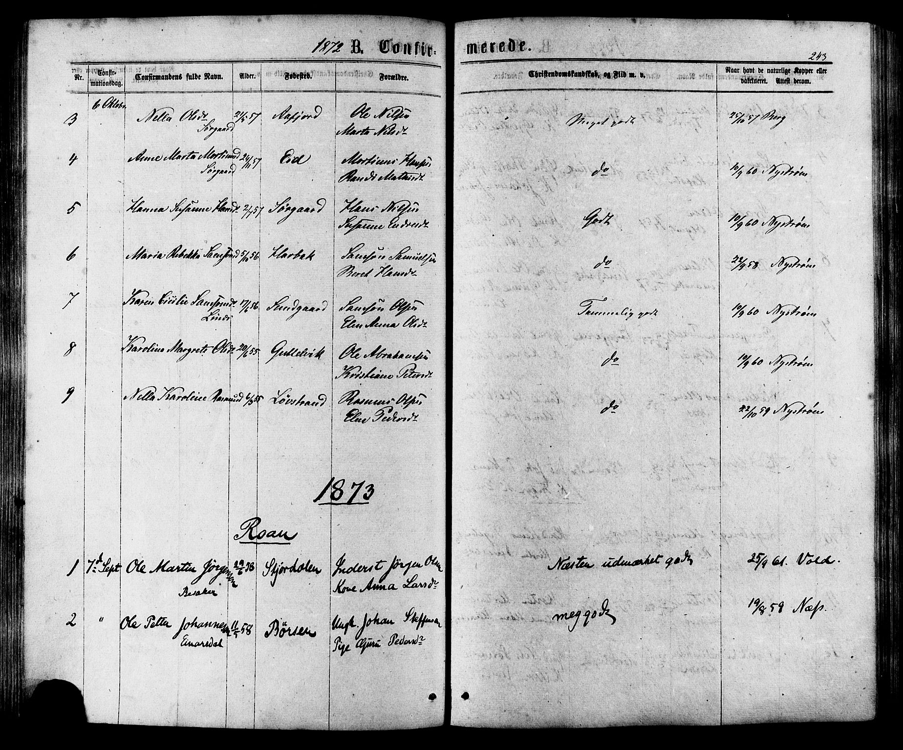 Ministerialprotokoller, klokkerbøker og fødselsregistre - Sør-Trøndelag, AV/SAT-A-1456/657/L0706: Parish register (official) no. 657A07, 1867-1878, p. 243