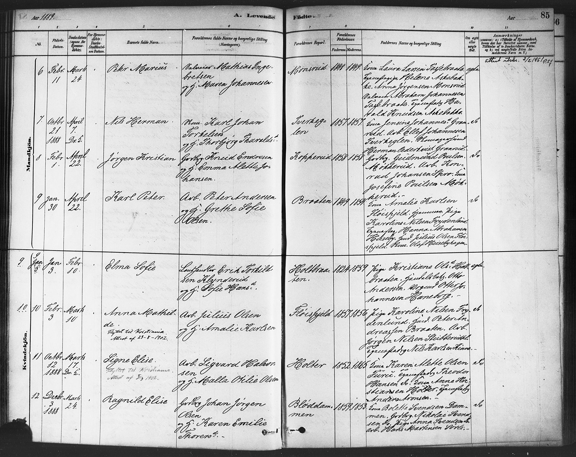 Drøbak prestekontor Kirkebøker, SAO/A-10142a/F/Fc/L0002: Parish register (official) no. III 2, 1878-1891, p. 85