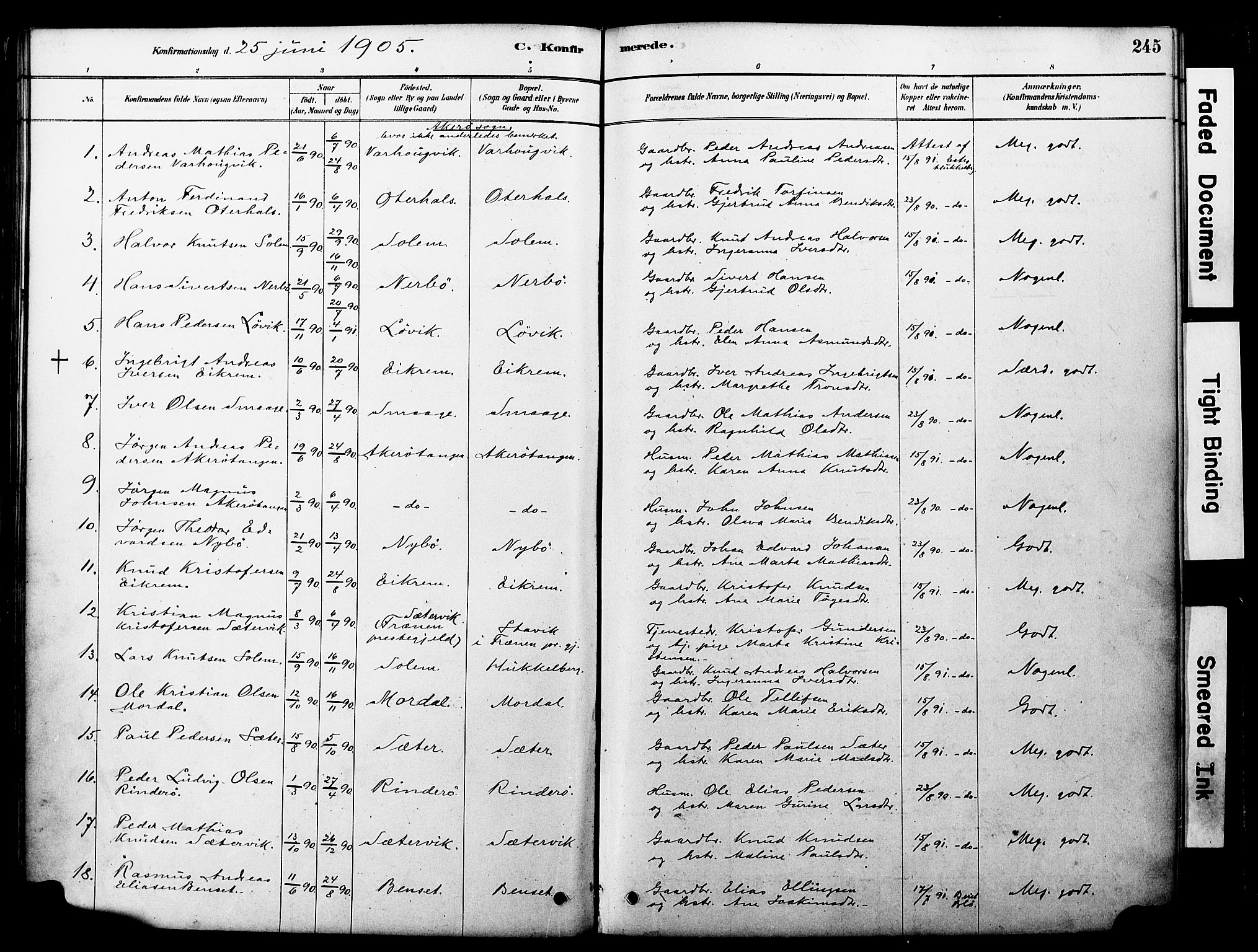 Ministerialprotokoller, klokkerbøker og fødselsregistre - Møre og Romsdal, SAT/A-1454/560/L0721: Parish register (official) no. 560A05, 1878-1917, p. 245