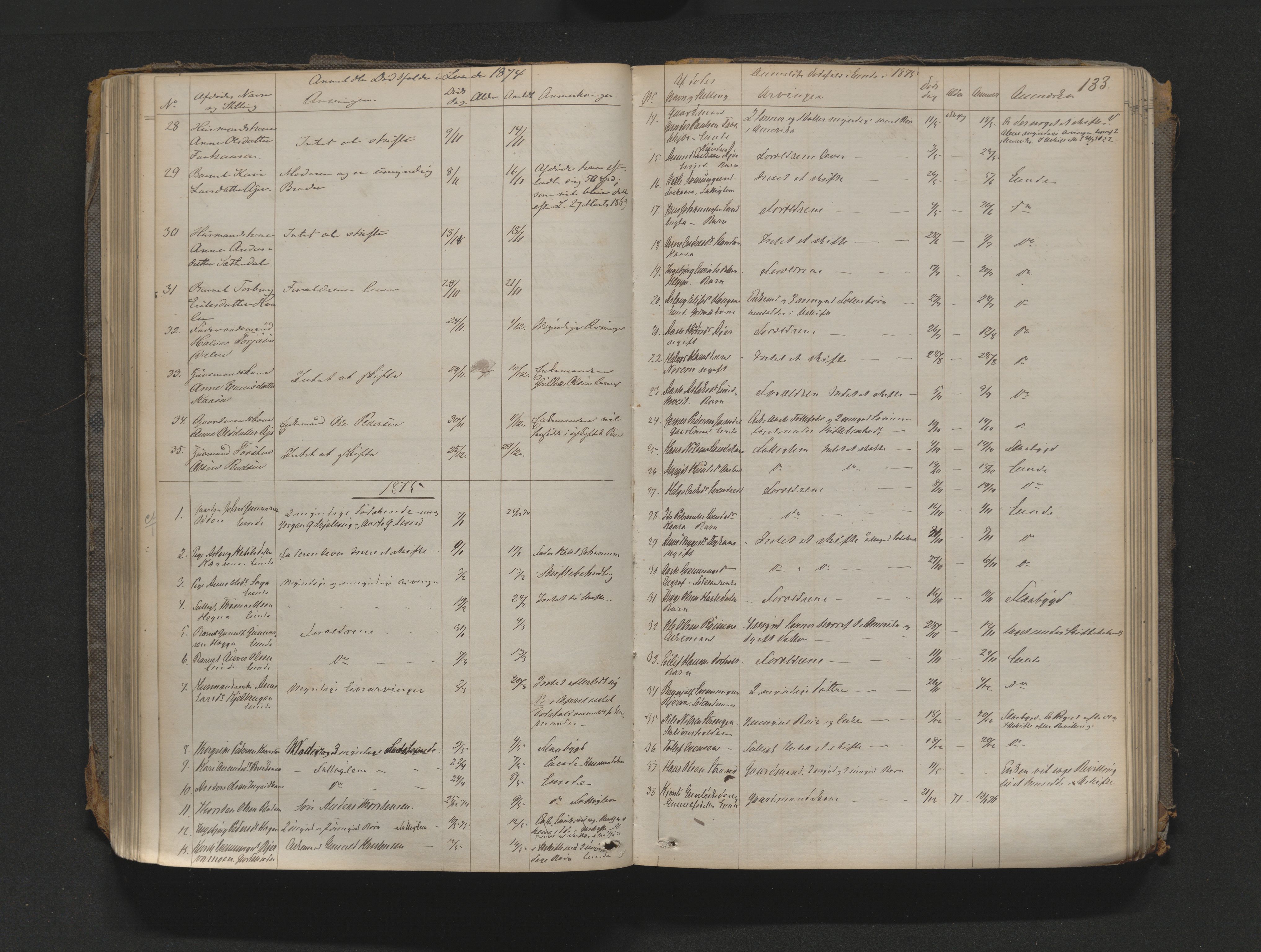 Nedre Telemark sorenskriveri, AV/SAKO-A-135/H/Ha/Haa/L0001: Dødsanmeldeldelsesprotokoll, 1867-1901, p. 132b-133a