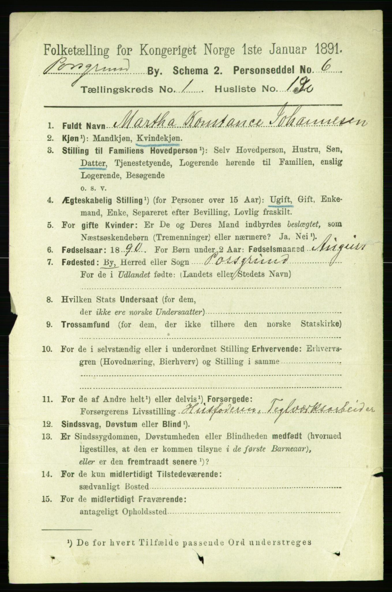 RA, 1891 census for 0805 Porsgrunn, 1891, p. 2125