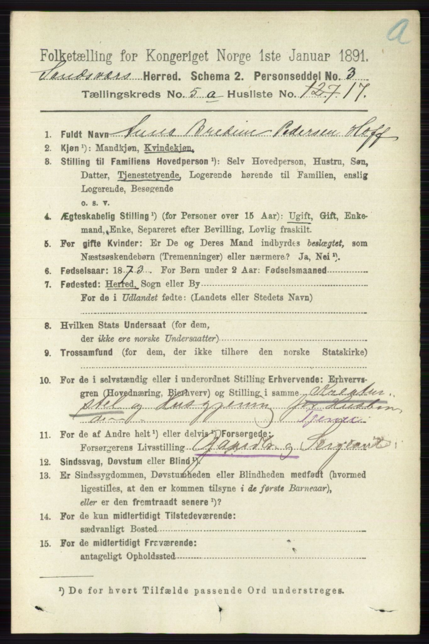 RA, 1891 census for 0629 Sandsvær, 1891, p. 2582