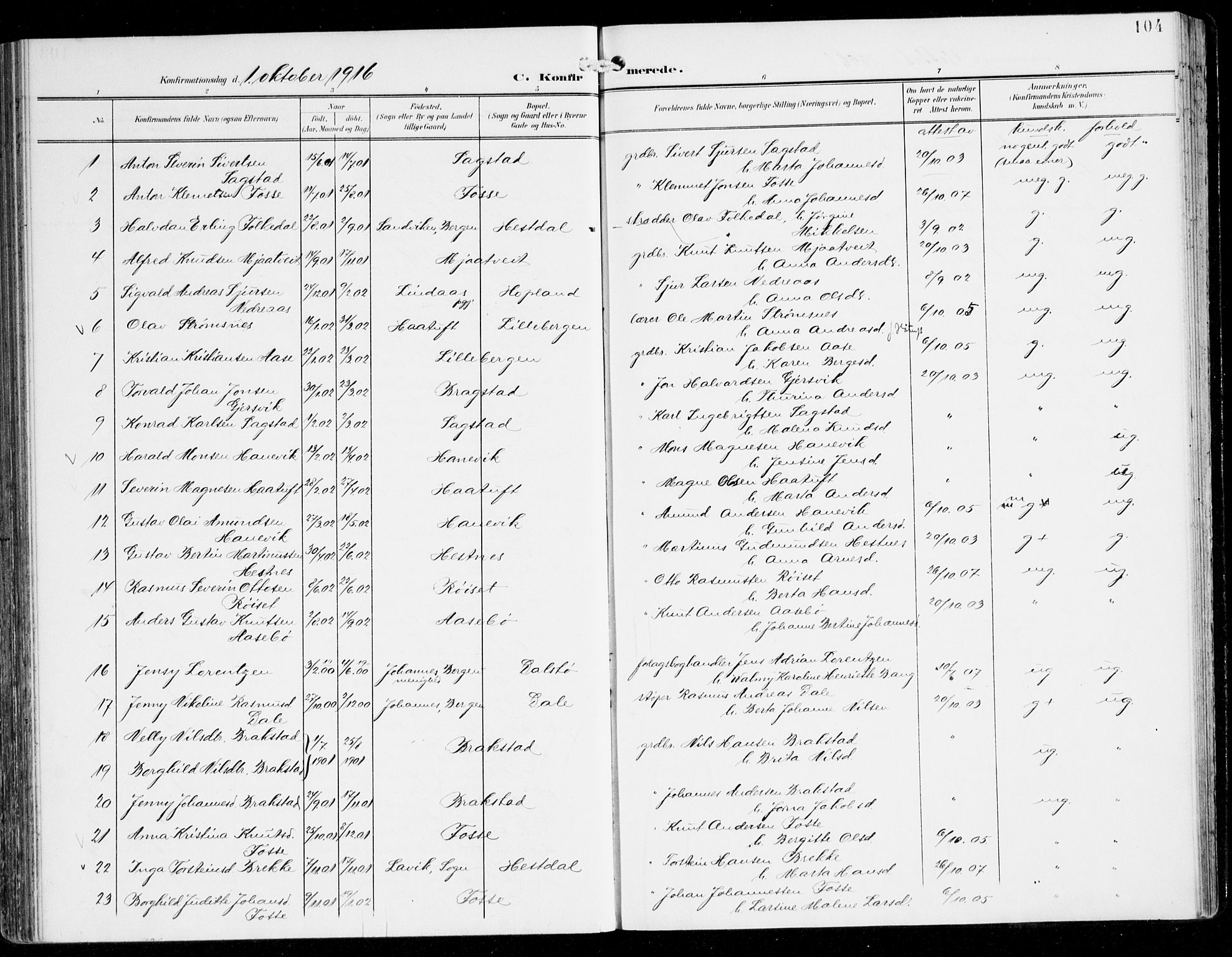 Alversund Sokneprestembete, SAB/A-73901/H/Ha/Haa/Haac/L0002: Parish register (official) no. C 2, 1901-1921, p. 104