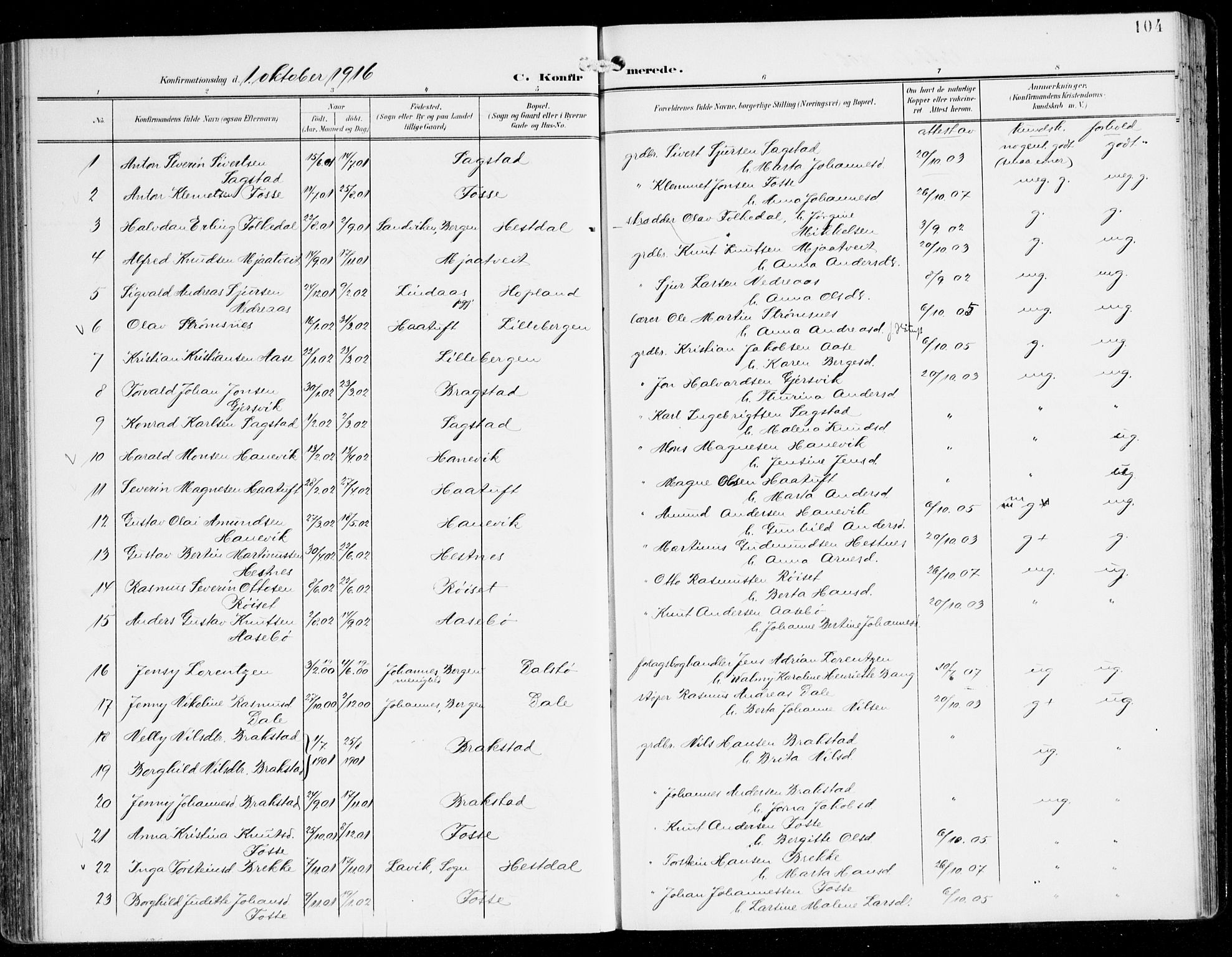 Alversund Sokneprestembete, AV/SAB-A-73901/H/Ha/Haa/Haac/L0002: Parish register (official) no. C 2, 1901-1921, p. 104