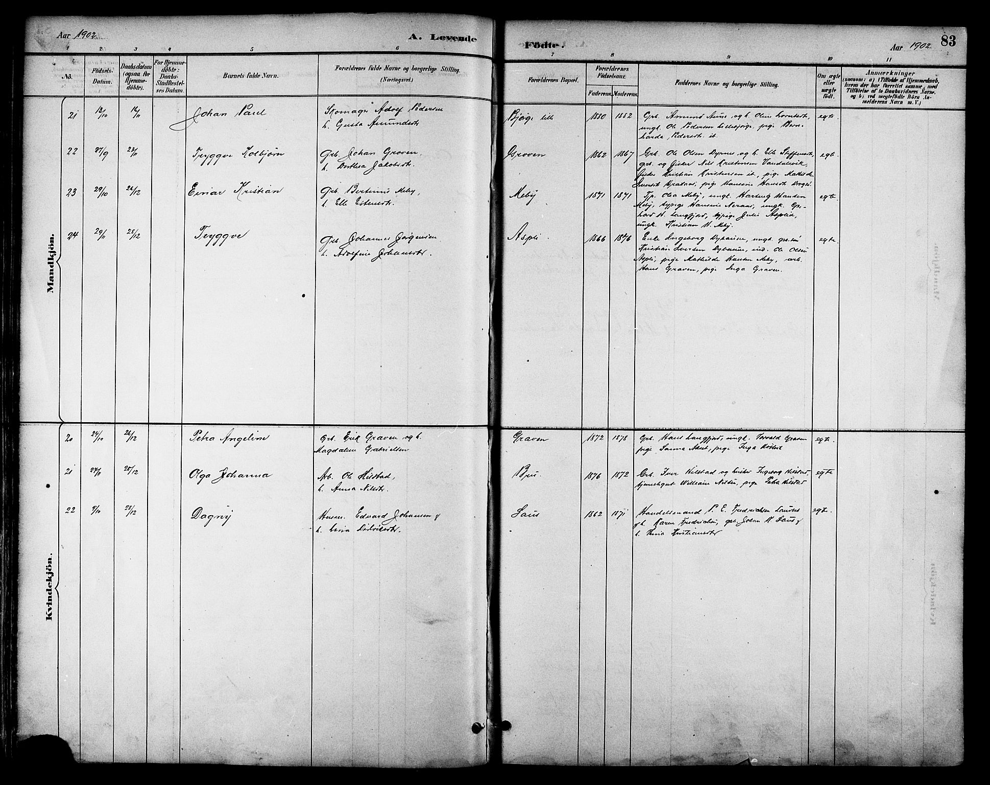 Ministerialprotokoller, klokkerbøker og fødselsregistre - Nordland, AV/SAT-A-1459/814/L0230: Parish register (copy) no. 814C03, 1884-1911, p. 83