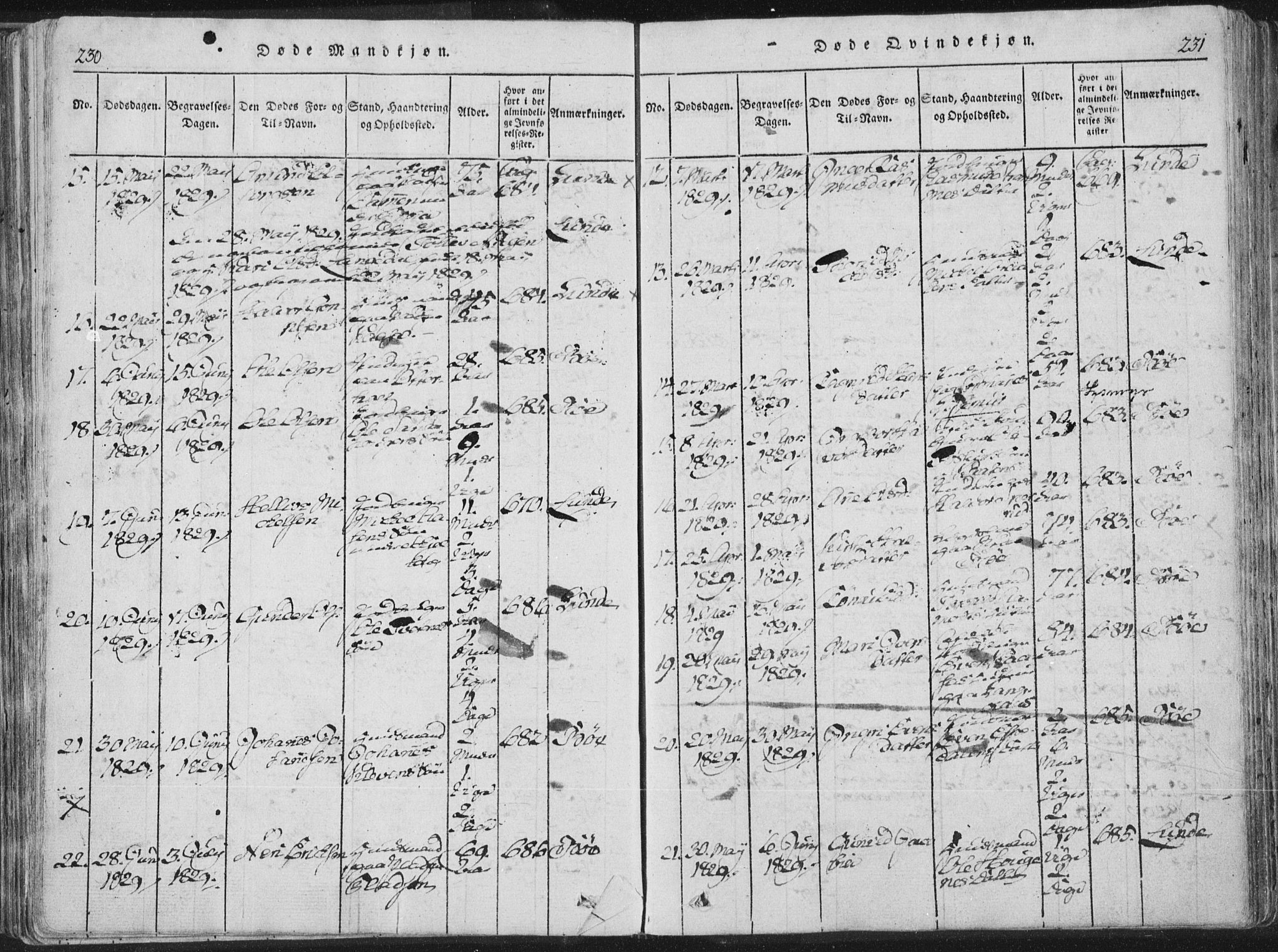 Bø kirkebøker, AV/SAKO-A-257/F/Fa/L0006: Parish register (official) no. 6, 1815-1831, p. 230-231