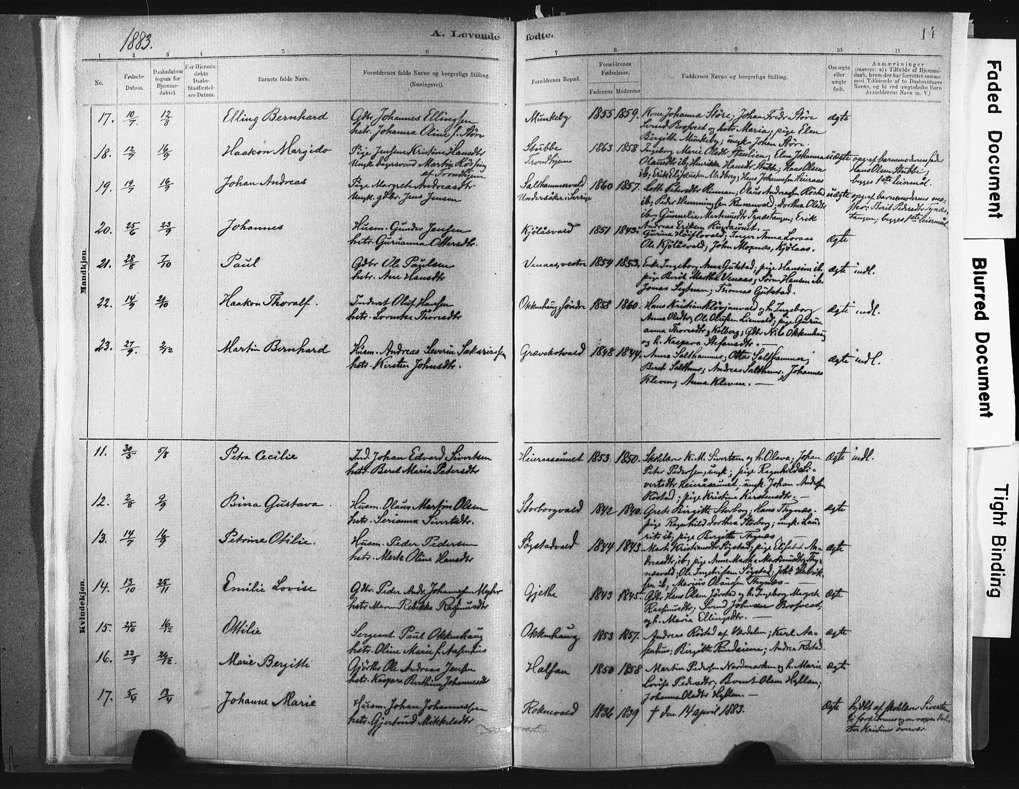 Ministerialprotokoller, klokkerbøker og fødselsregistre - Nord-Trøndelag, SAT/A-1458/721/L0207: Parish register (official) no. 721A02, 1880-1911, p. 14