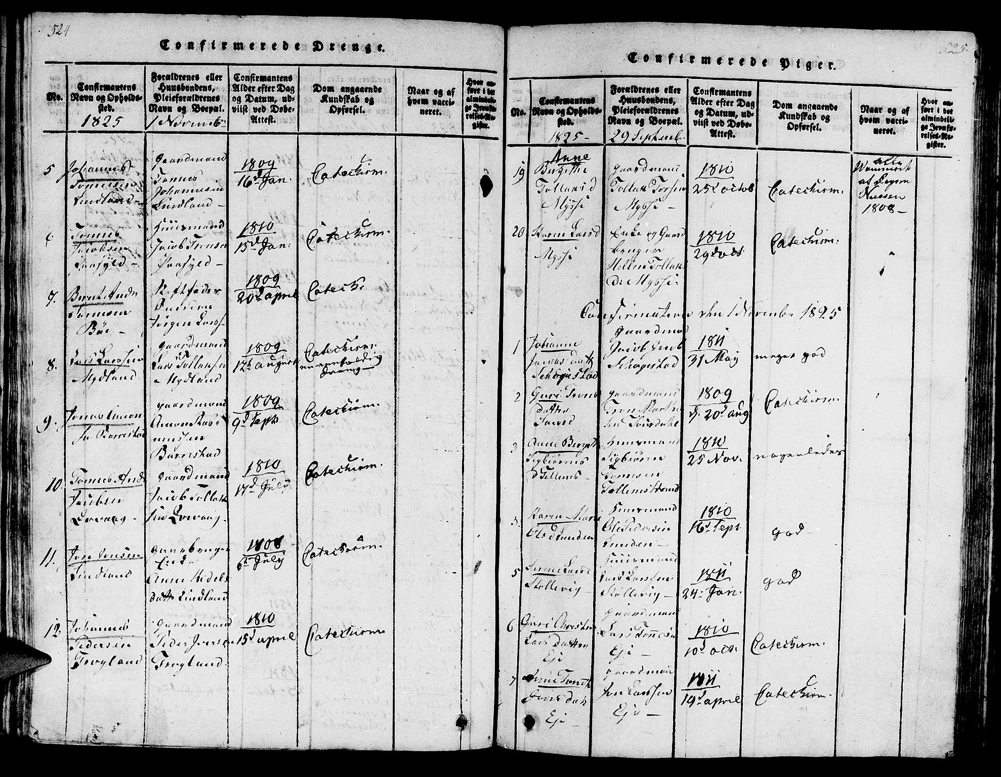 Sokndal sokneprestkontor, AV/SAST-A-101808: Parish register (official) no. A 6, 1815-1826, p. 524-525