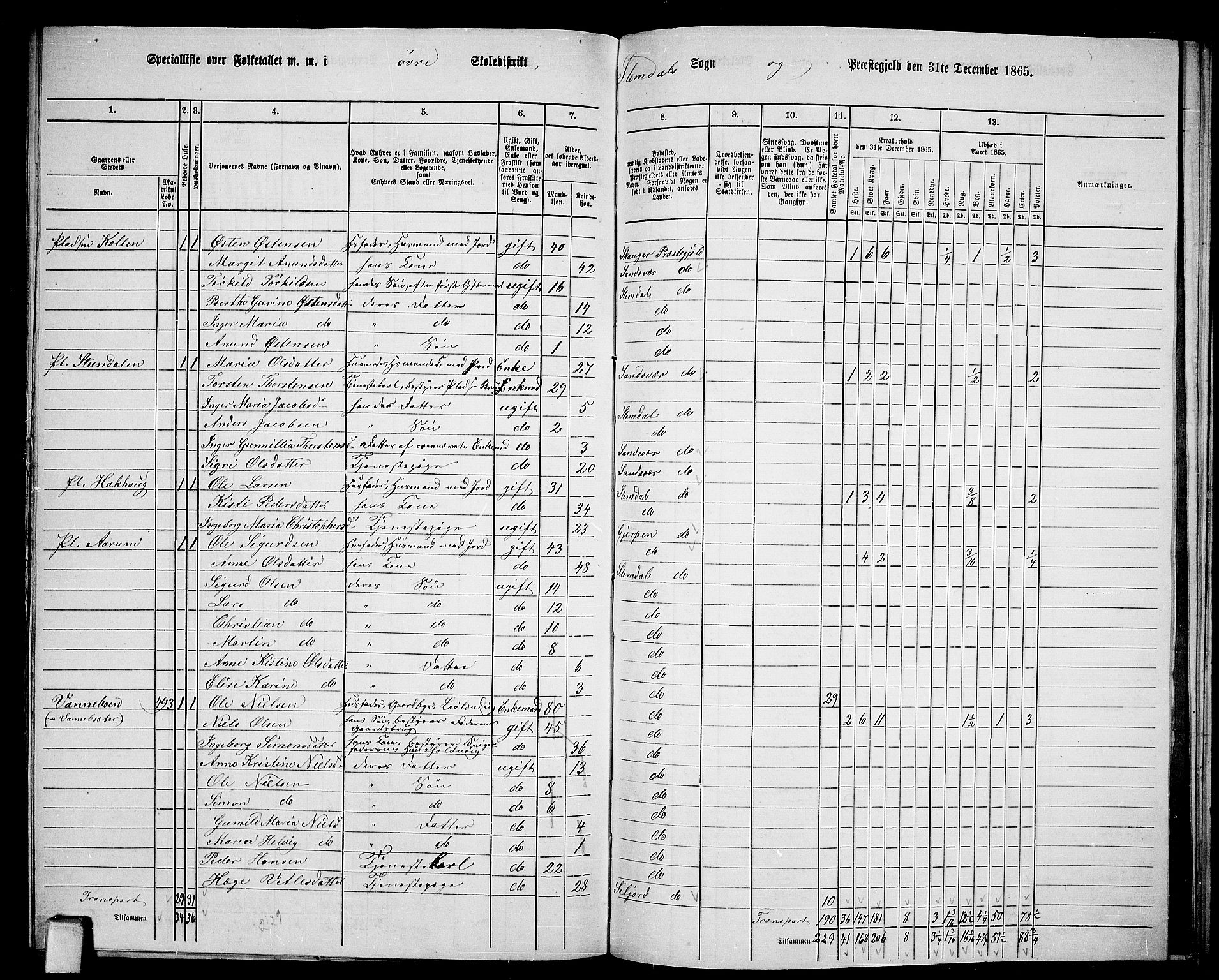 RA, 1865 census for Slemdal, 1865, p. 11