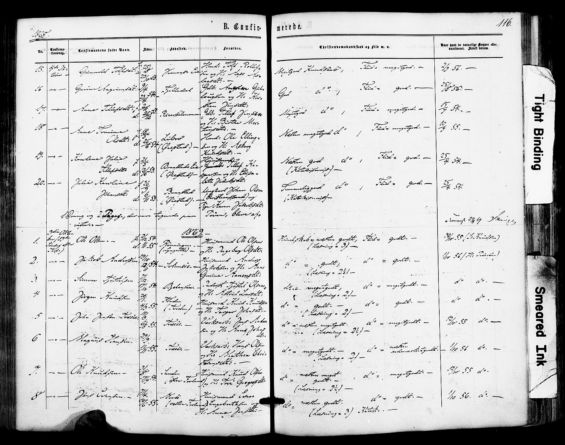 Froland sokneprestkontor, SAK/1111-0013/F/Fa/L0003: Parish register (official) no. A 3, 1864-1881, p. 116