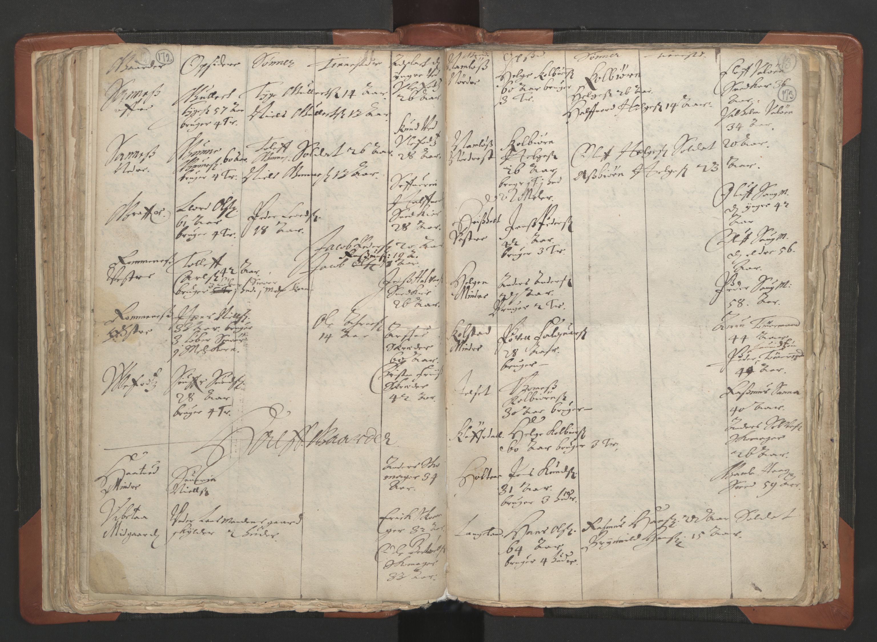 RA, Vicar's Census 1664-1666, no. 12: Øvre Telemark deanery, Nedre Telemark deanery and Bamble deanery, 1664-1666, p. 172-173