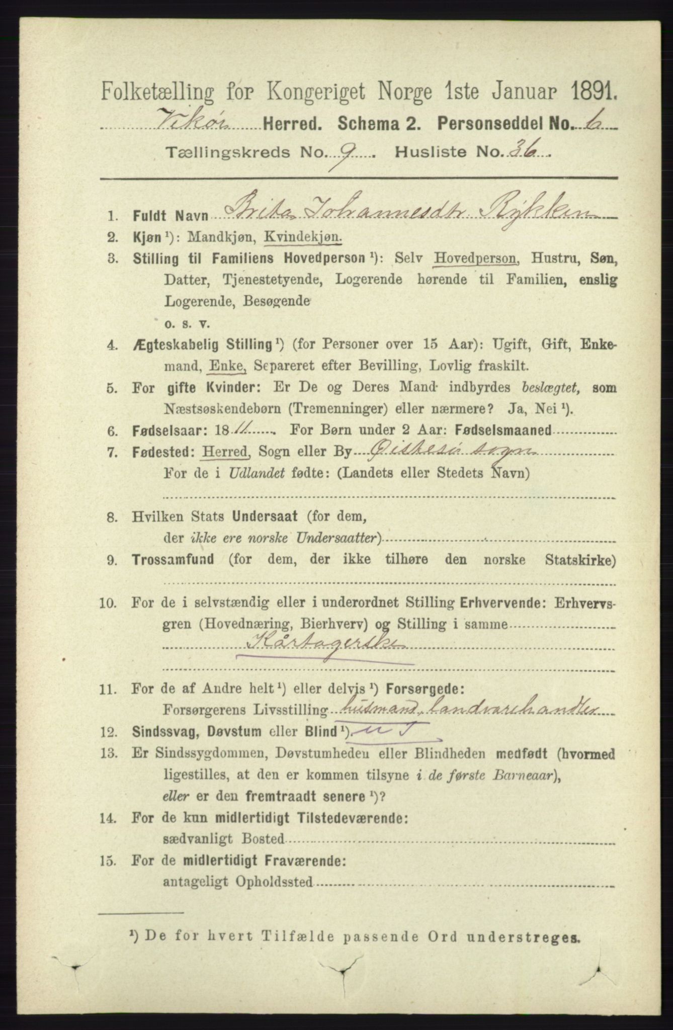 RA, 1891 census for 1238 Vikør, 1891, p. 2890