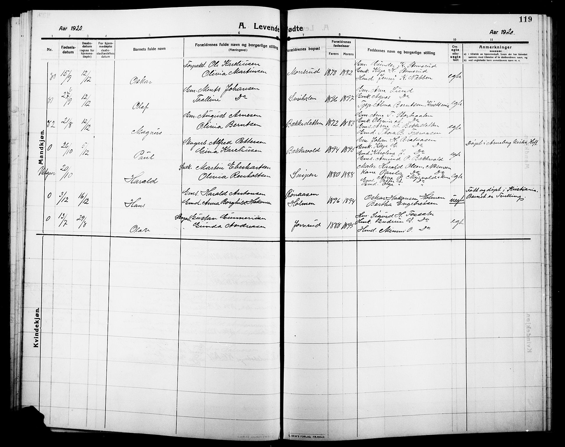 Grue prestekontor, AV/SAH-PREST-036/H/Ha/Hab/L0007: Parish register (copy) no. 7, 1910-1920, p. 119