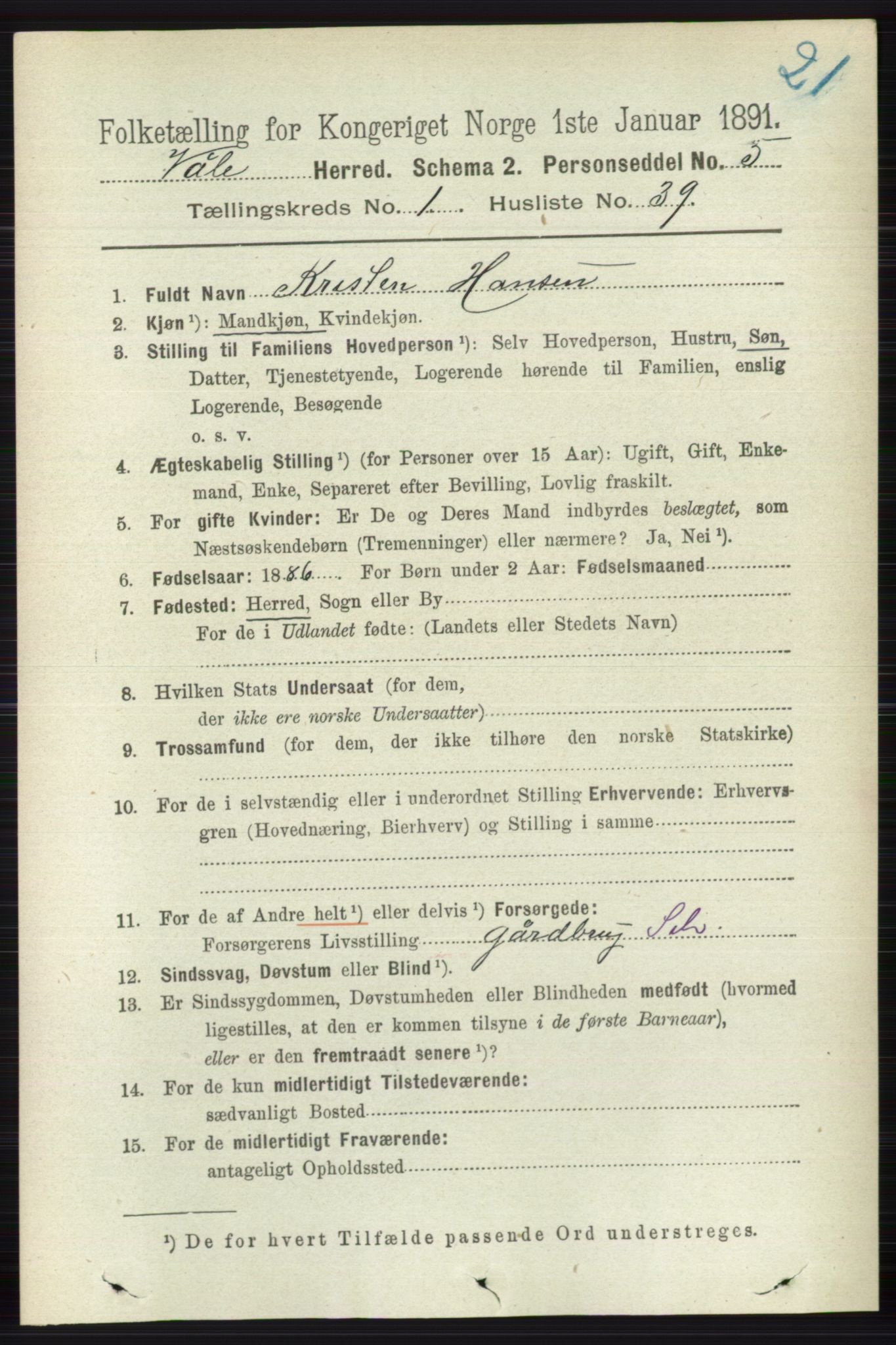 RA, 1891 census for 0716 Våle, 1891, p. 313