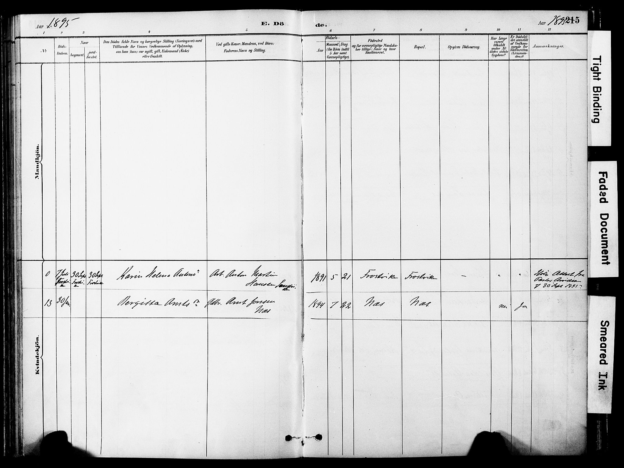 Ministerialprotokoller, klokkerbøker og fødselsregistre - Nord-Trøndelag, SAT/A-1458/755/L0494: Parish register (official) no. 755A03, 1882-1902, p. 215