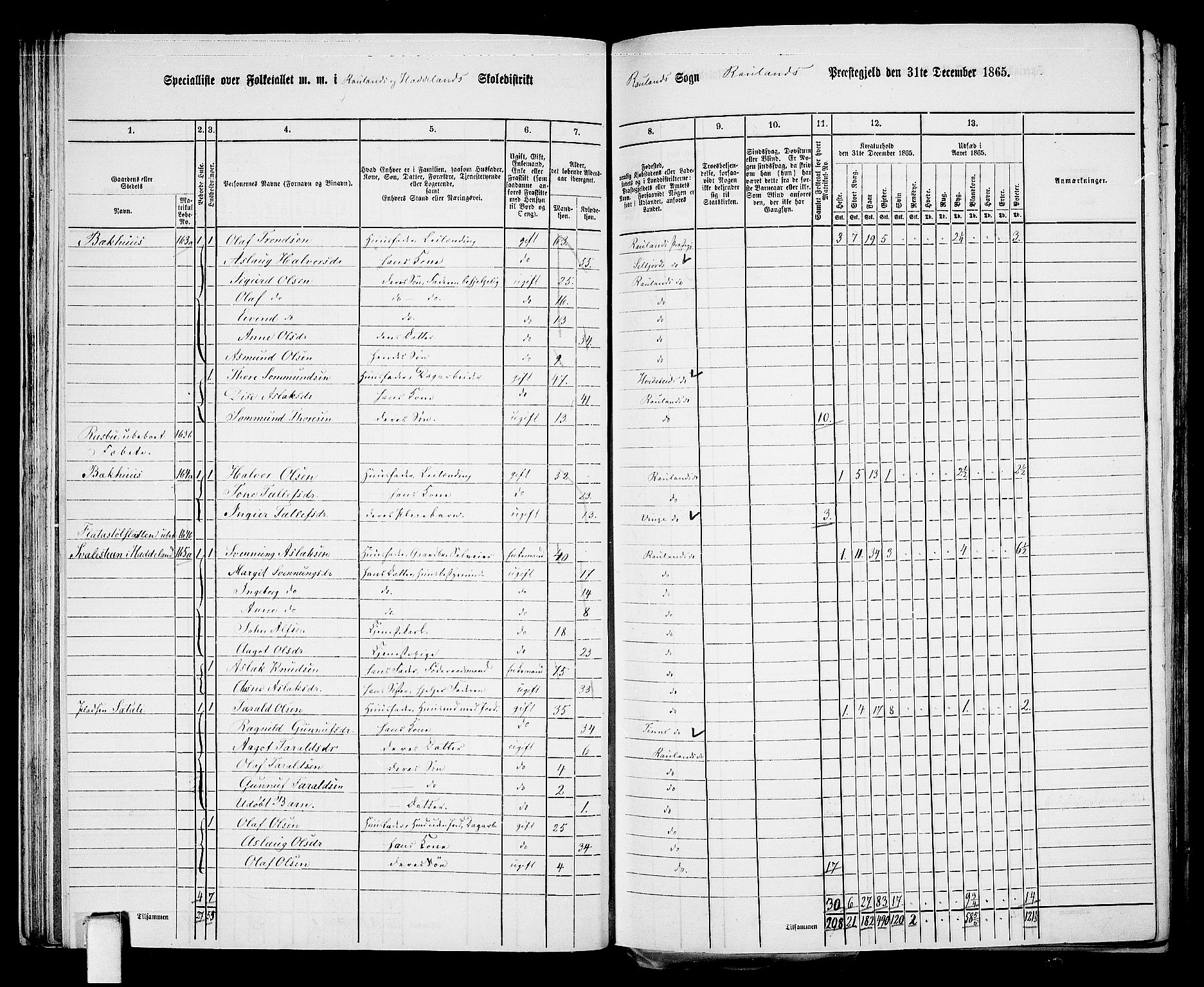 RA, 1865 census for Rauland, 1865, p. 37