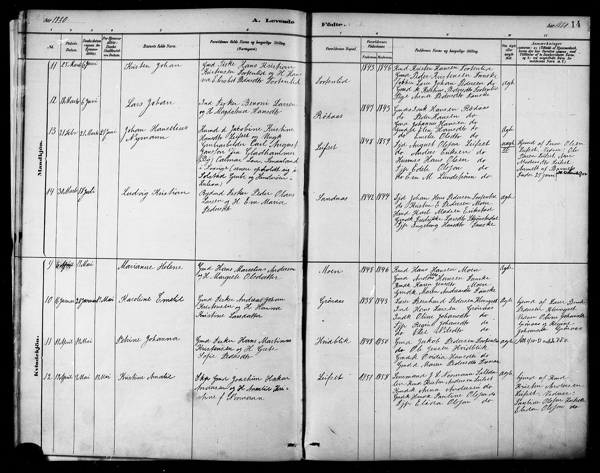 Ministerialprotokoller, klokkerbøker og fødselsregistre - Nordland, AV/SAT-A-1459/849/L0689: Parish register (official) no. 849A01, 1879-1889, p. 14