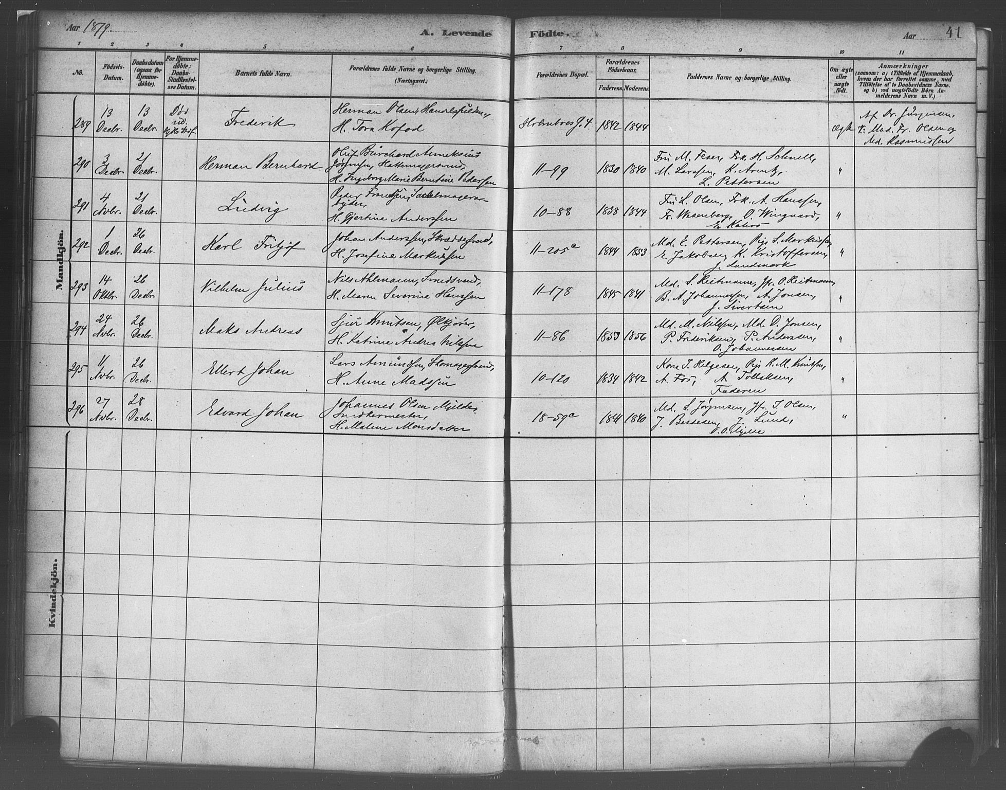 Domkirken sokneprestembete, AV/SAB-A-74801/H/Haa/L0023: Parish register (official) no. B 6, 1879-1887, p. 41