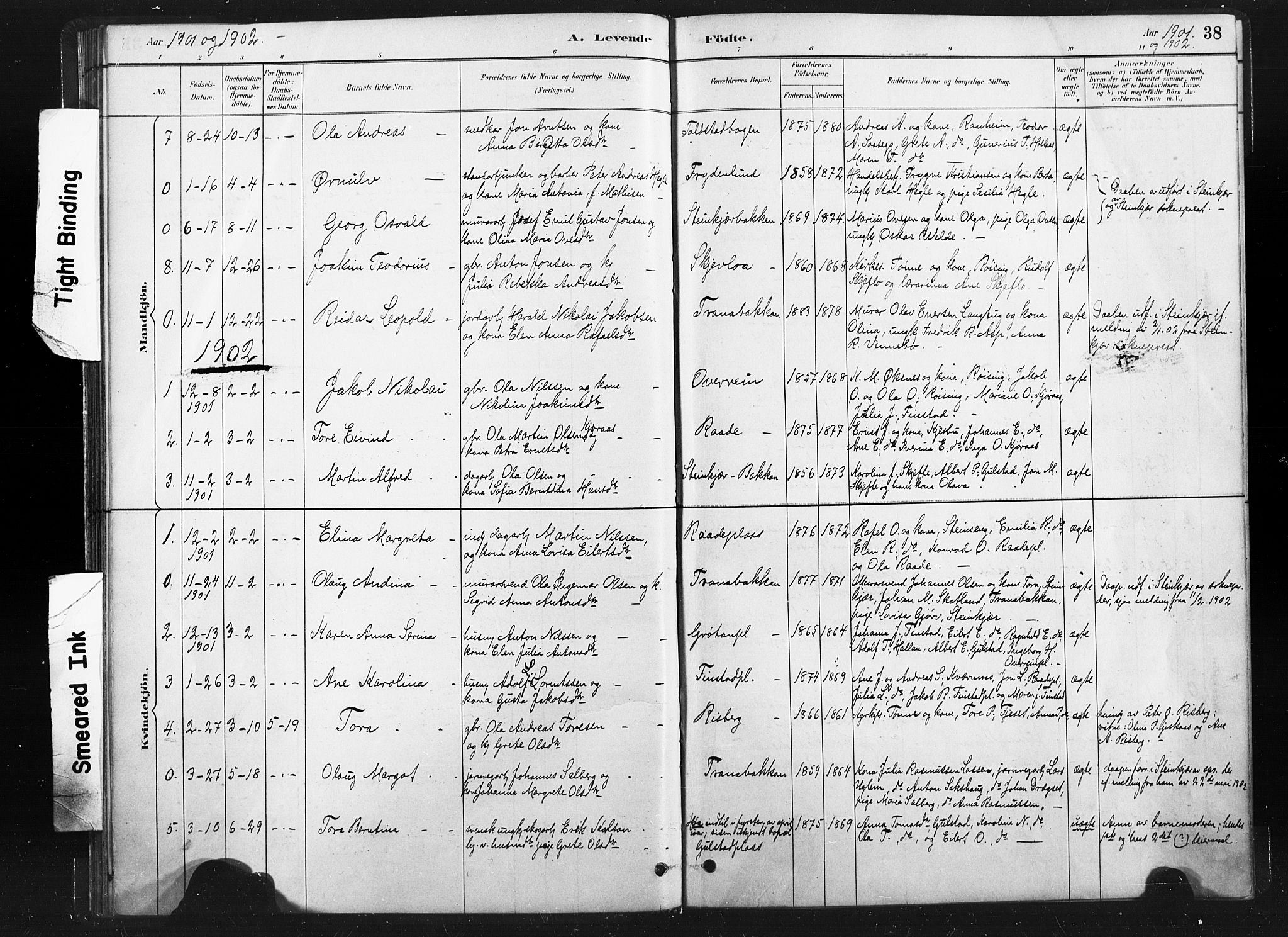 Ministerialprotokoller, klokkerbøker og fødselsregistre - Nord-Trøndelag, SAT/A-1458/736/L0361: Parish register (official) no. 736A01, 1884-1906, p. 38