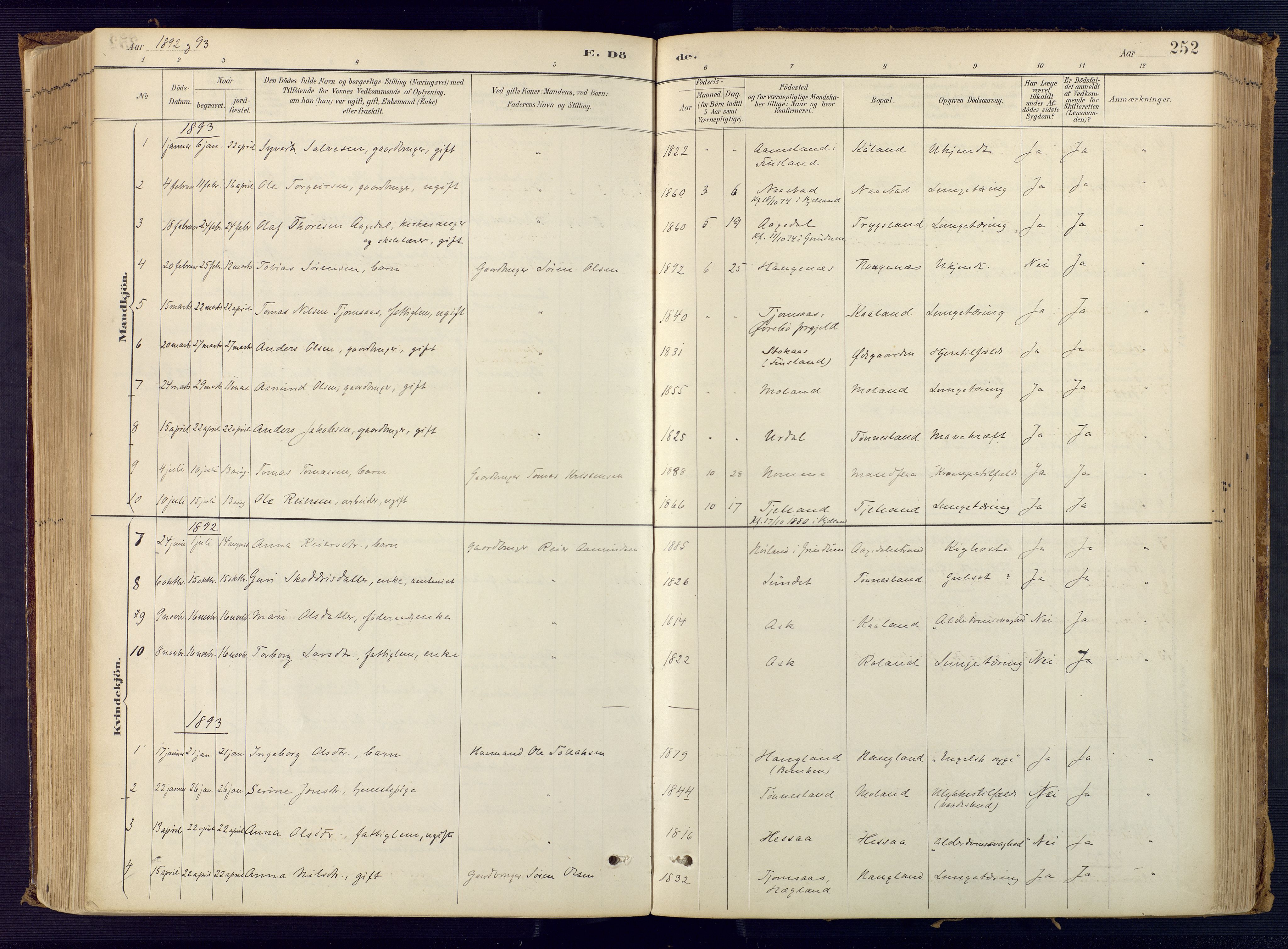 Bjelland sokneprestkontor, AV/SAK-1111-0005/F/Fa/Faa/L0004: Parish register (official) no. A 4, 1887-1923, p. 252