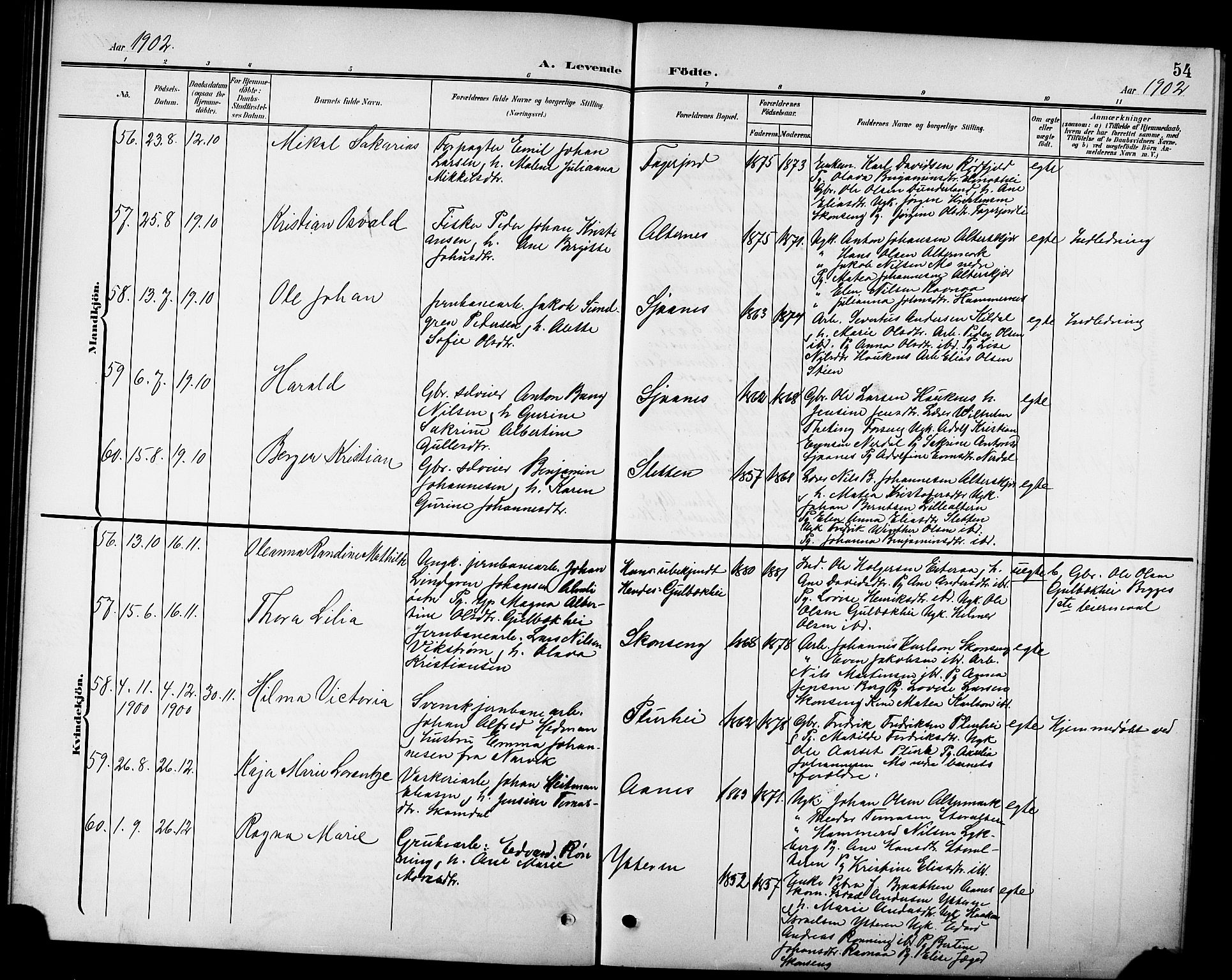 Ministerialprotokoller, klokkerbøker og fødselsregistre - Nordland, AV/SAT-A-1459/827/L0422: Parish register (copy) no. 827C11, 1899-1912, p. 54