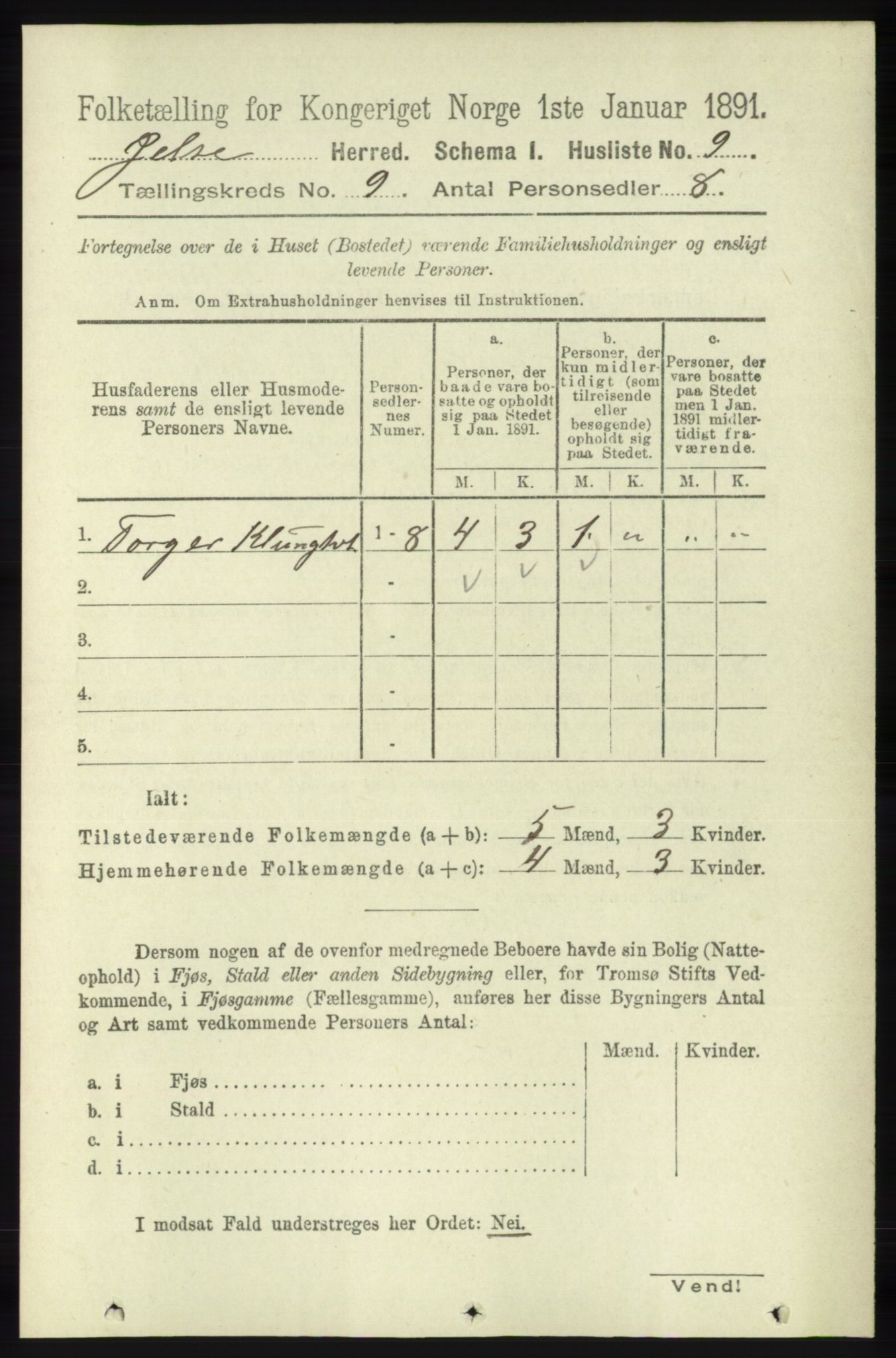 RA, 1891 census for 1138 Jelsa, 1891, p. 2011