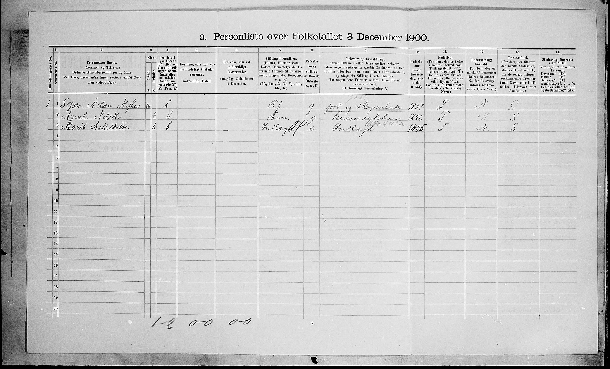 SAH, 1900 census for Nordre Land, 1900, p. 558