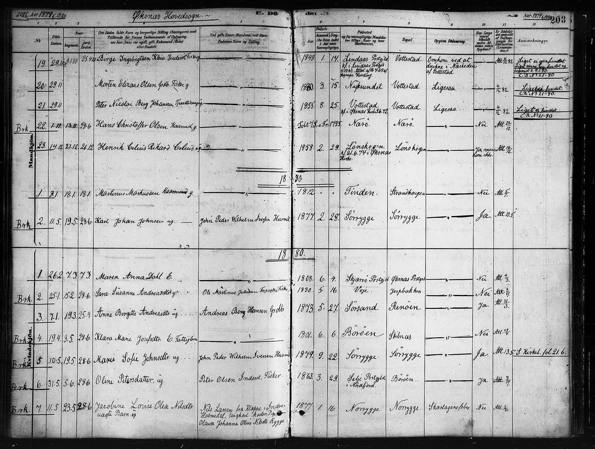 Ministerialprotokoller, klokkerbøker og fødselsregistre - Nordland, AV/SAT-A-1459/893/L1335: Parish register (official) no. 893A08 /1, 1878-1884, p. 203