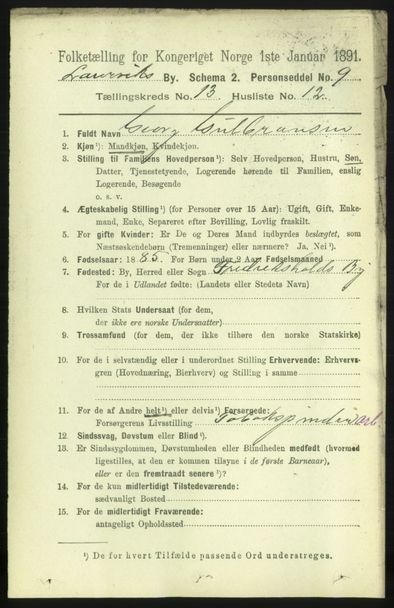 RA, 1891 census for 0707 Larvik, 1891, p. 10638