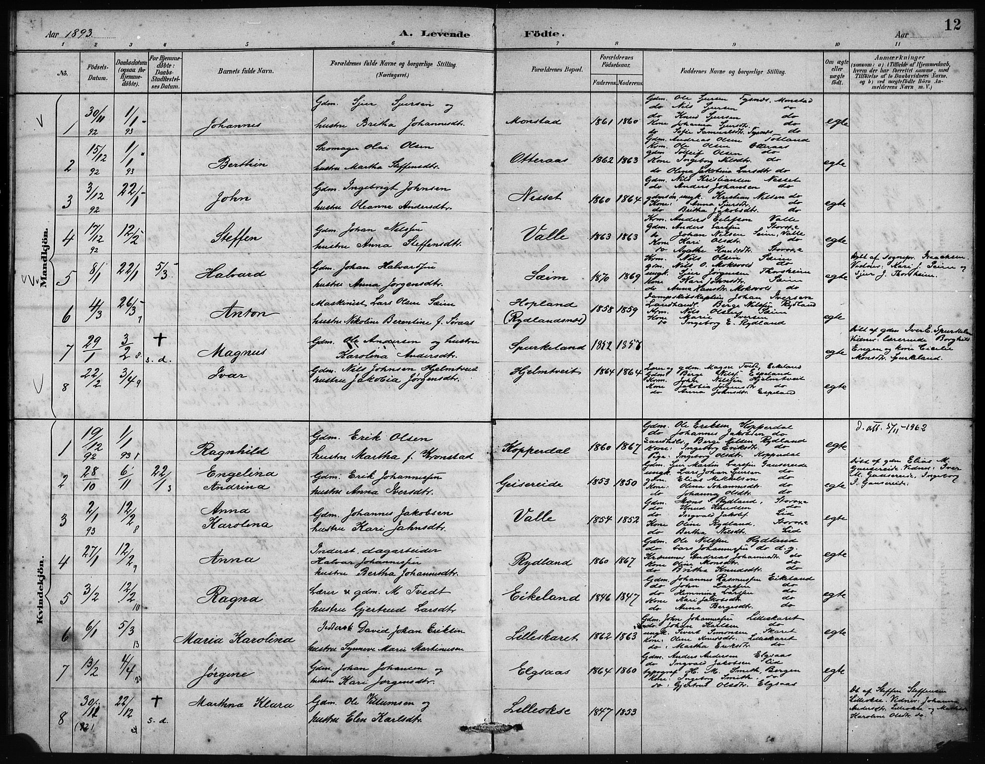 Alversund Sokneprestembete, SAB/A-73901/H/Ha/Haa/Haad/L0002: Parish register (official) no. D 2, 1890-1897, p. 12