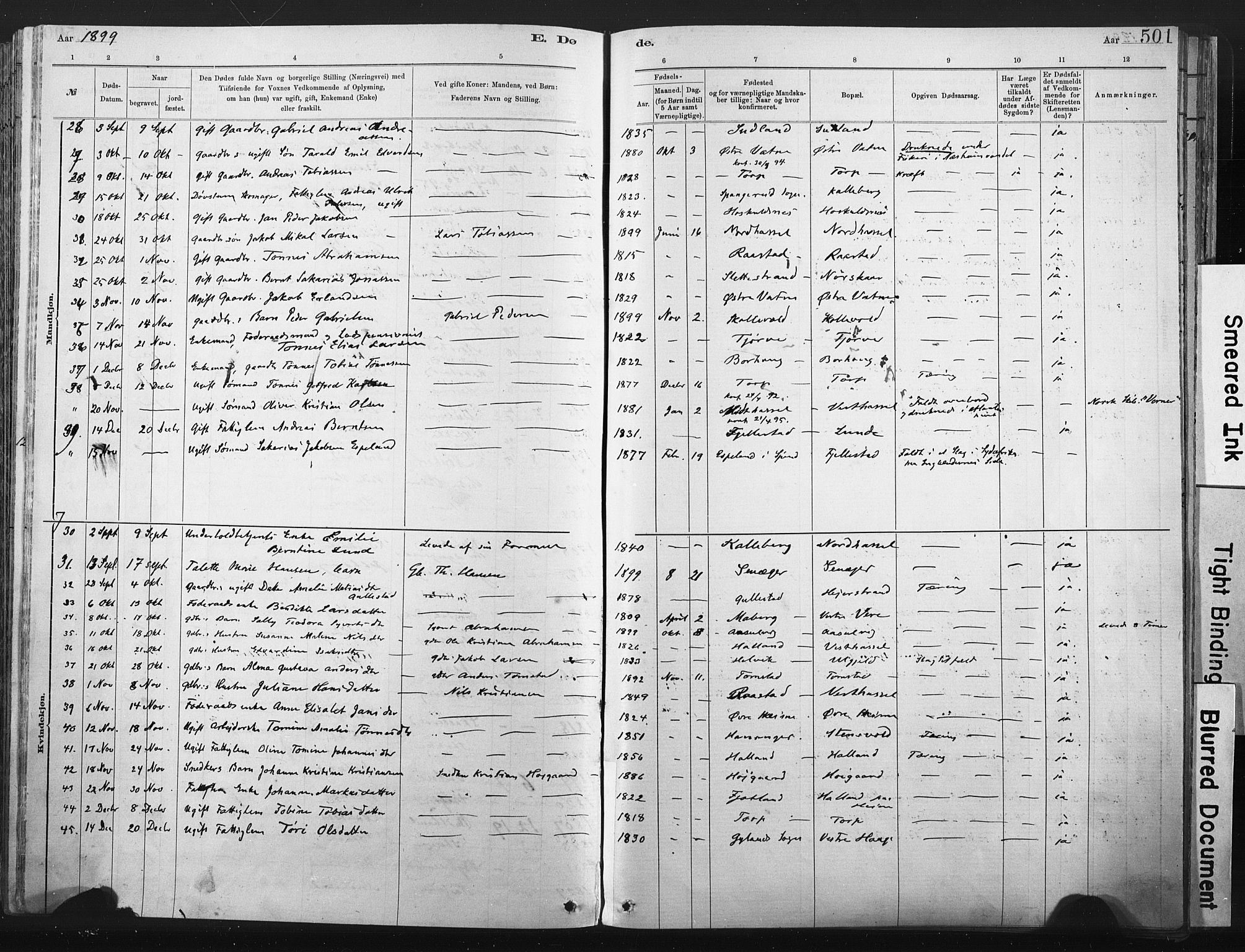 Lista sokneprestkontor, AV/SAK-1111-0027/F/Fa/L0012: Parish register (official) no. A 12, 1879-1903, p. 501