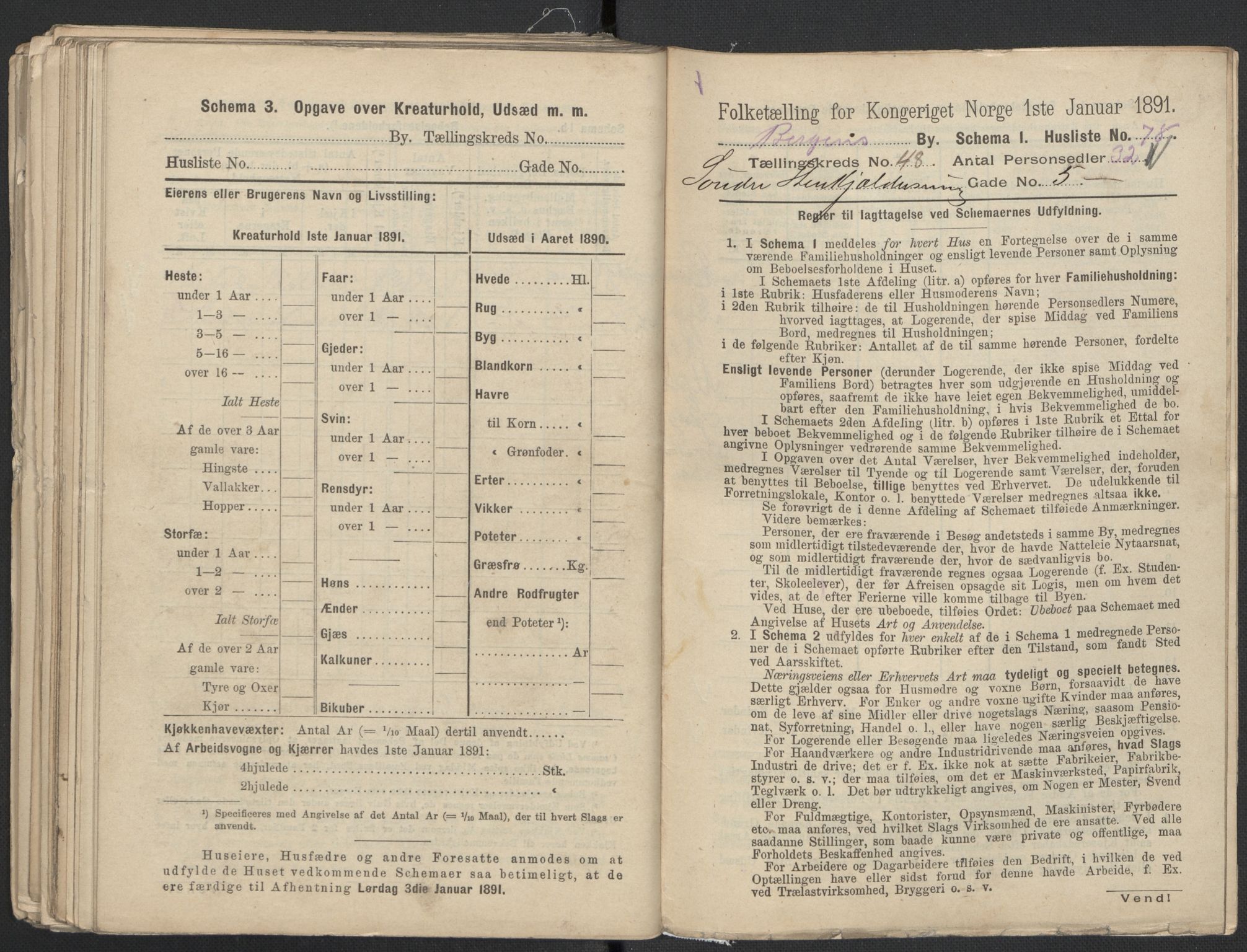 RA, 1891 Census for 1301 Bergen, 1891, p. 7954