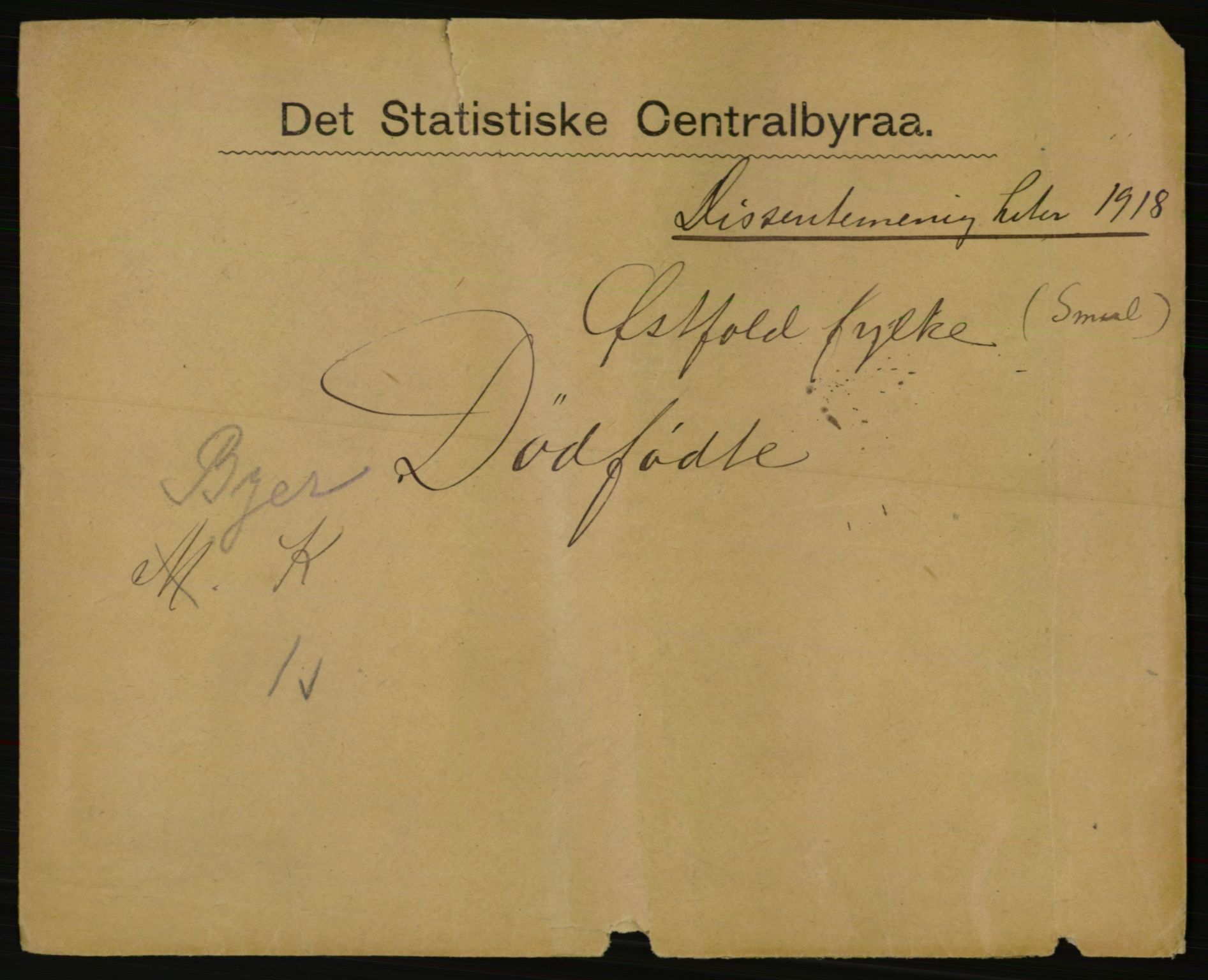 Statistisk sentralbyrå, Sosiodemografiske emner, Befolkning, AV/RA-S-2228/E/L0016: Fødte, gifte, døde dissentere., 1918, p. 3787