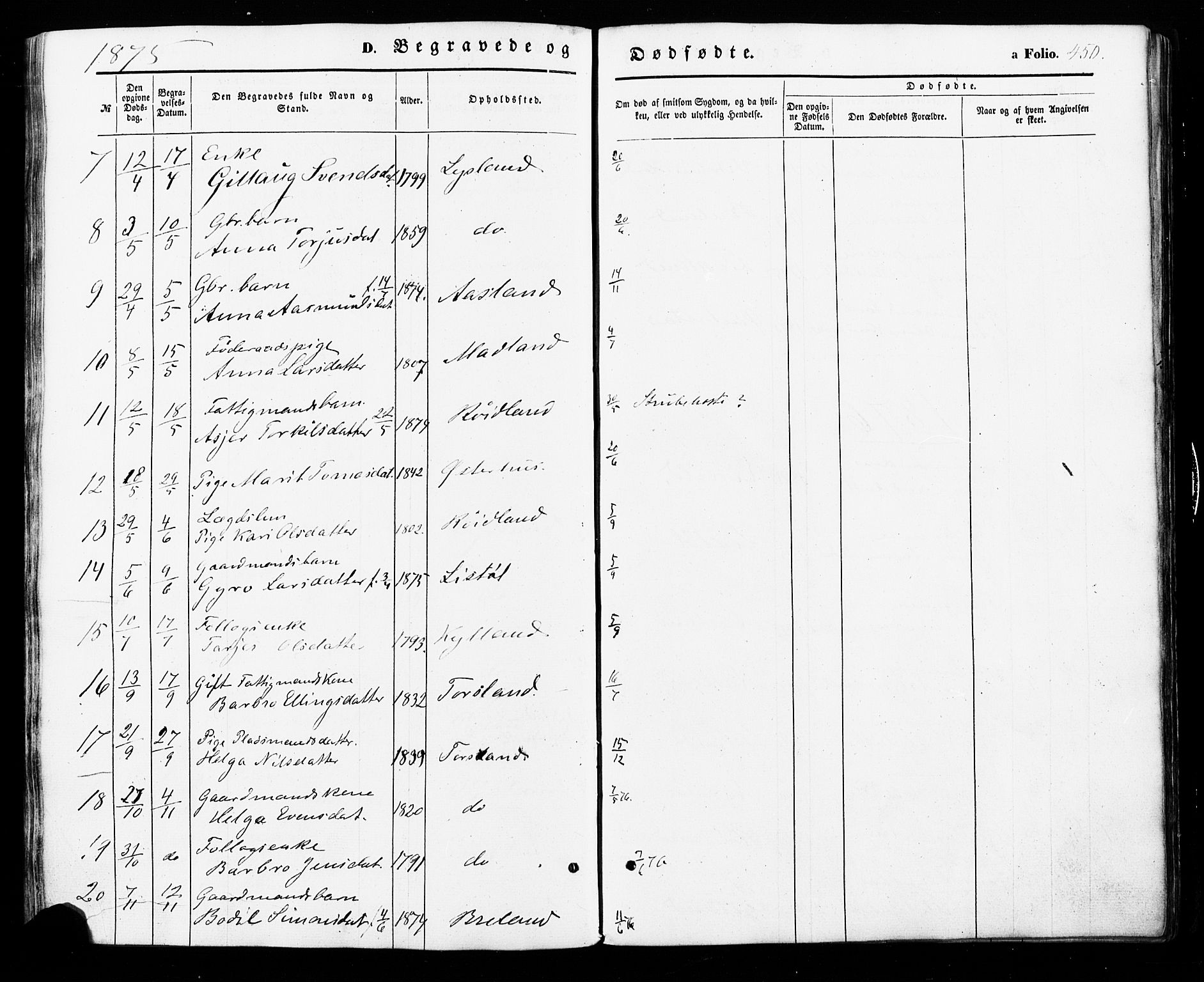 Åseral sokneprestkontor, SAK/1111-0051/F/Fa/L0002: Parish register (official) no. A 2, 1854-1884, p. 450