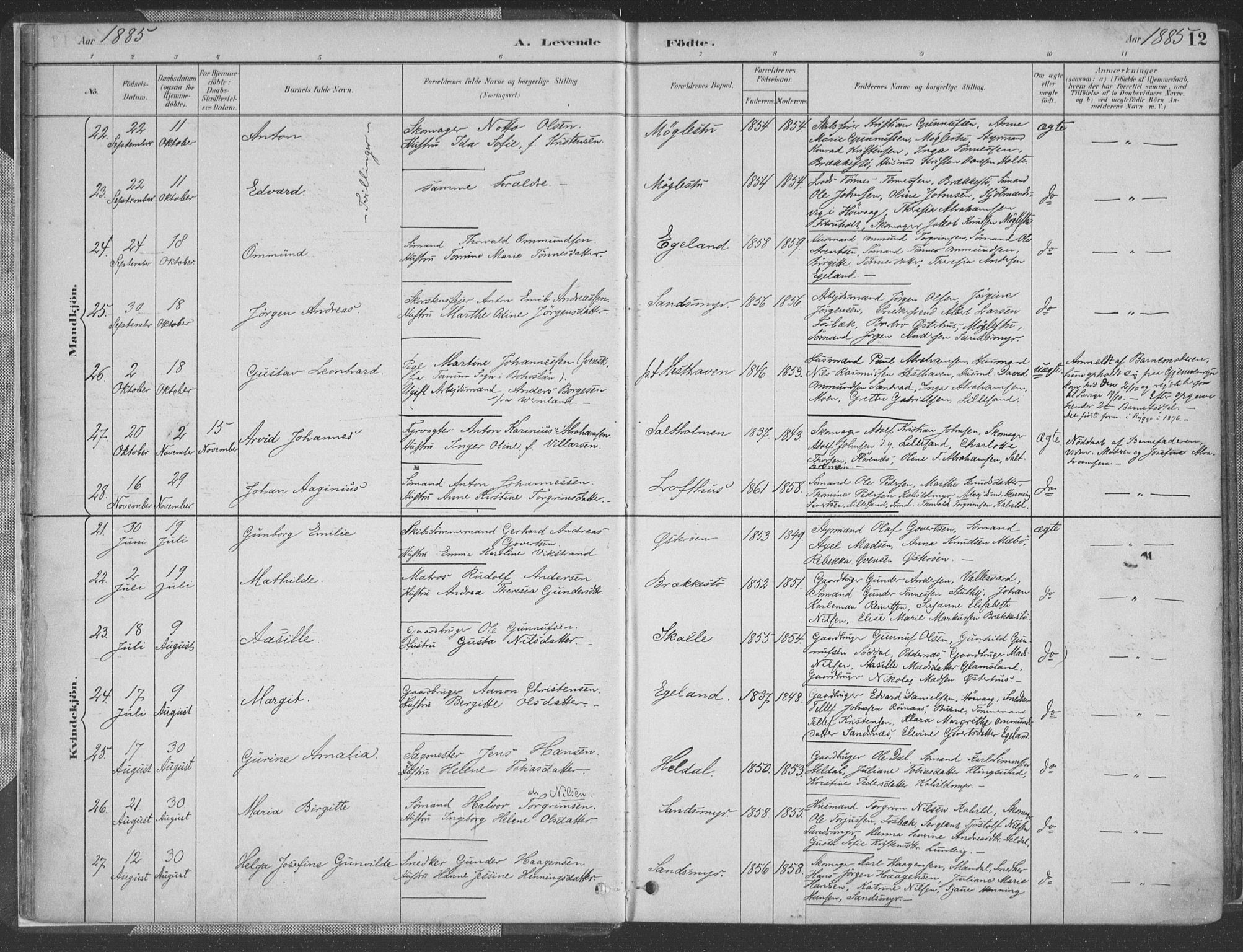 Vestre Moland sokneprestkontor, AV/SAK-1111-0046/F/Fa/Fab/L0009: Parish register (official) no. A 9, 1884-1899, p. 12