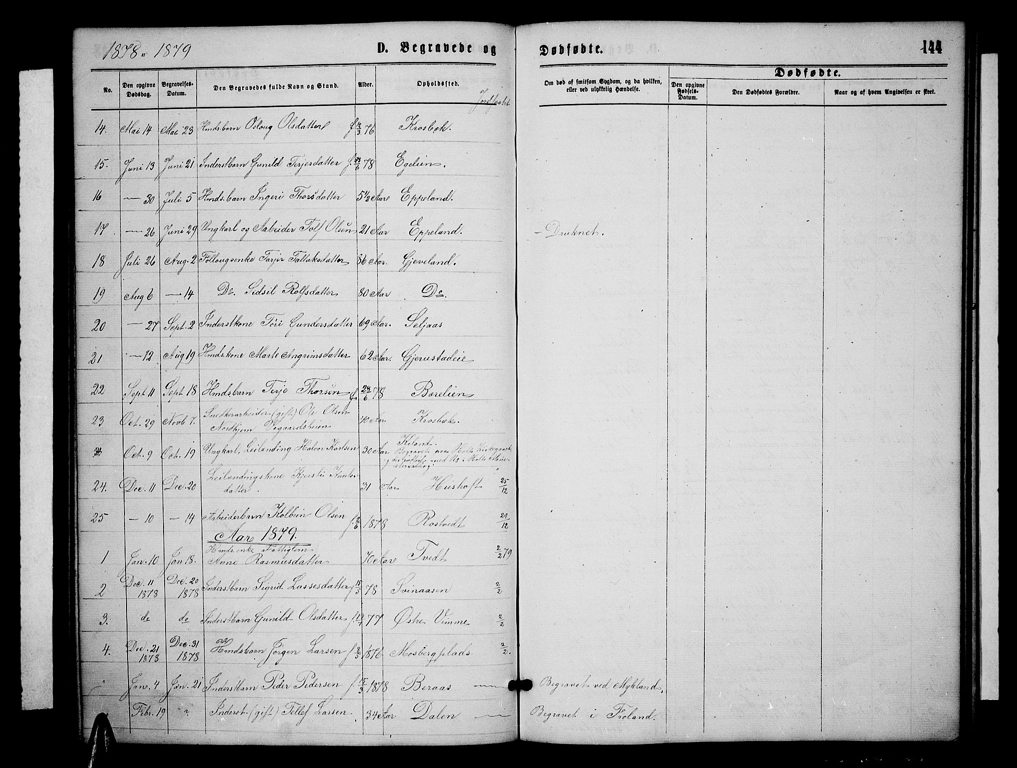 Åmli sokneprestkontor, SAK/1111-0050/F/Fb/Fbc/L0003: Parish register (copy) no. B 3, 1868-1888, p. 144