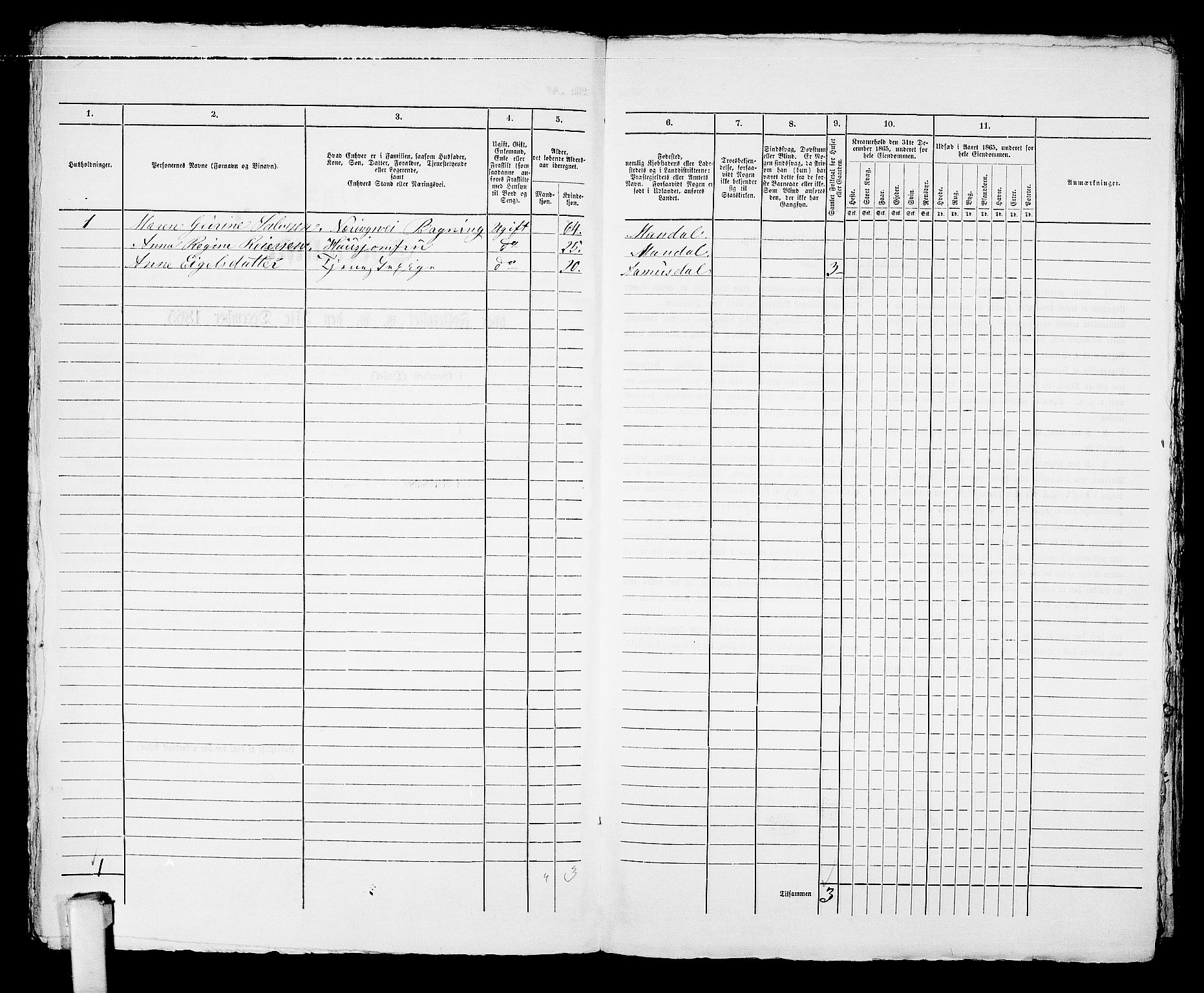 RA, 1865 census for Kragerø/Kragerø, 1865, p. 869