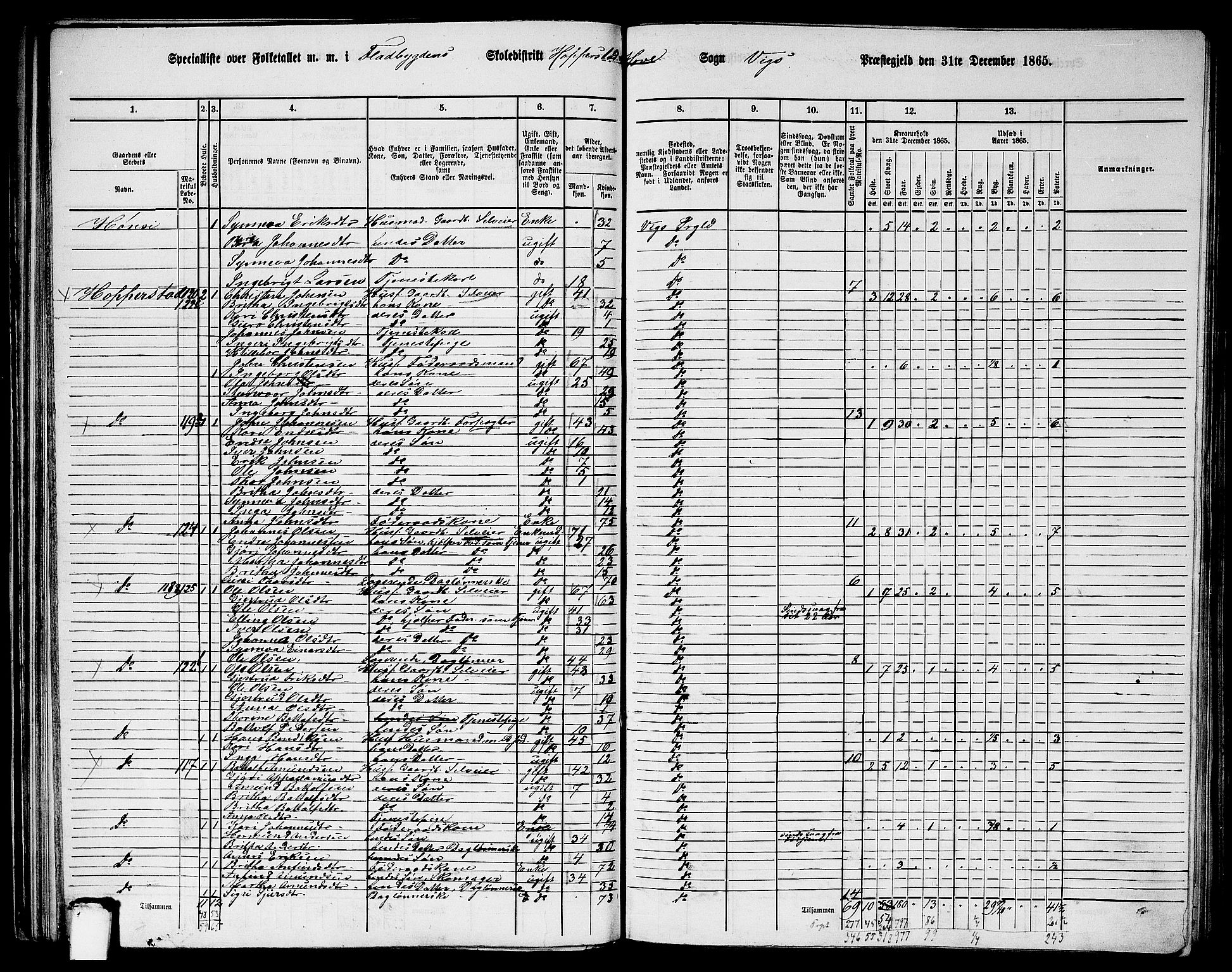 RA, 1865 census for Vik, 1865, p. 53