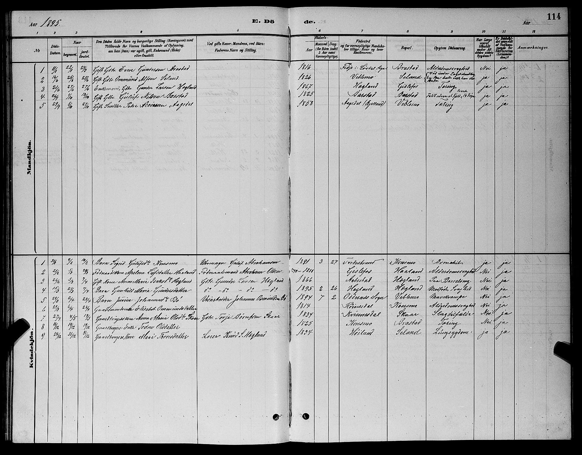 Nord-Audnedal sokneprestkontor, AV/SAK-1111-0032/F/Fb/Fba/L0003: Parish register (copy) no. B 3, 1881-1900, p. 114