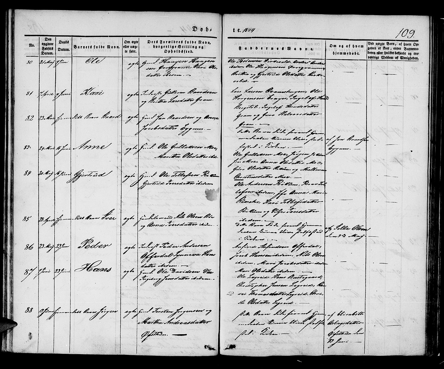 Lærdal sokneprestembete, SAB/A-81201: Parish register (official) no. A 6, 1835-1849, p. 109