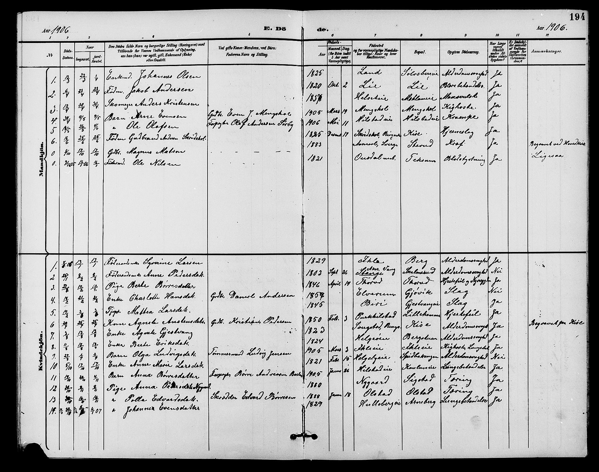 Nes prestekontor, Hedmark, AV/SAH-PREST-020/L/La/L0007: Parish register (copy) no. 7, 1892-1912, p. 194