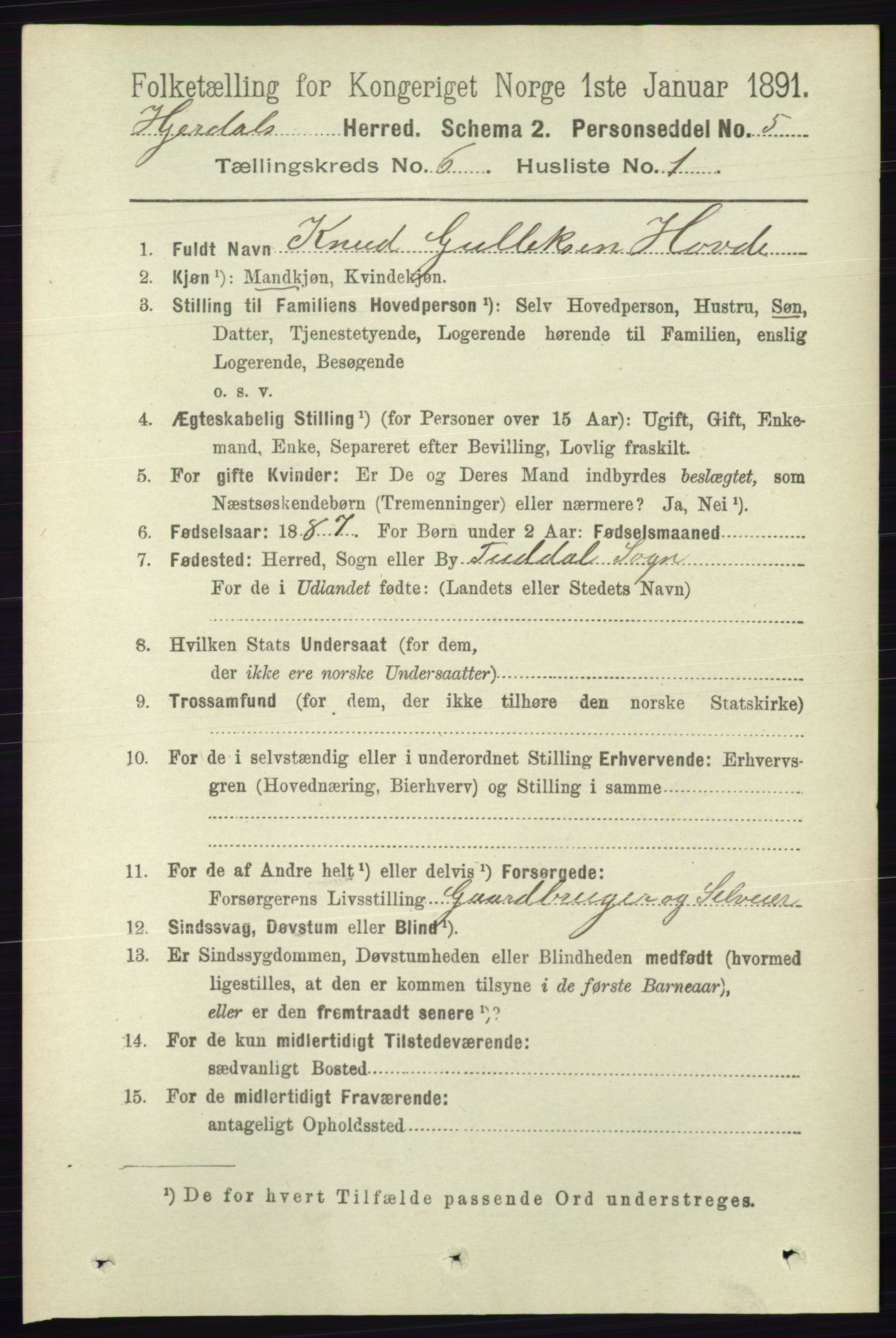 RA, 1891 census for 0827 Hjartdal, 1891, p. 2197