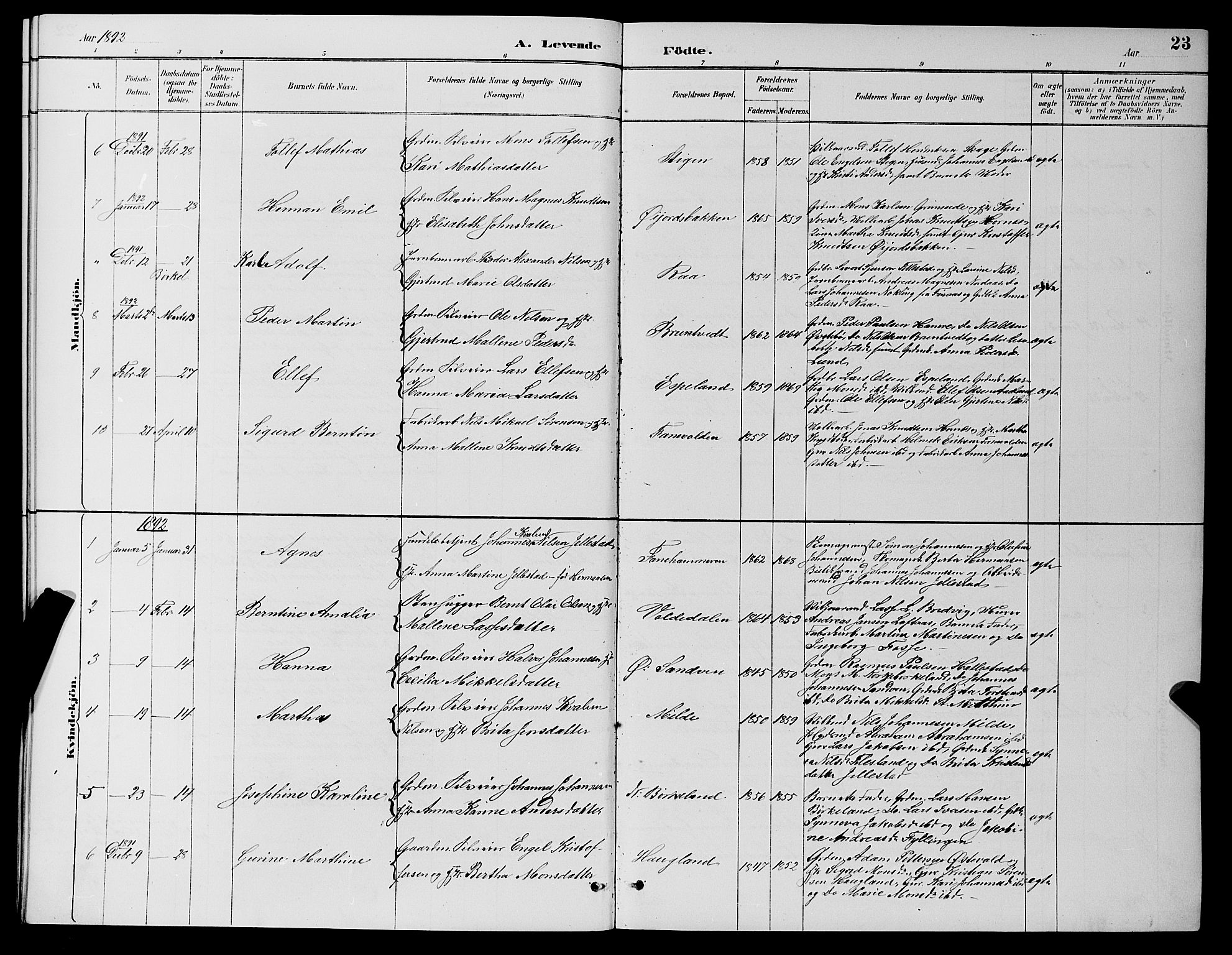 Fana Sokneprestembete, AV/SAB-A-75101/H/Hab/Haba/L0002: Parish register (copy) no. A 2, 1889-1895, p. 23