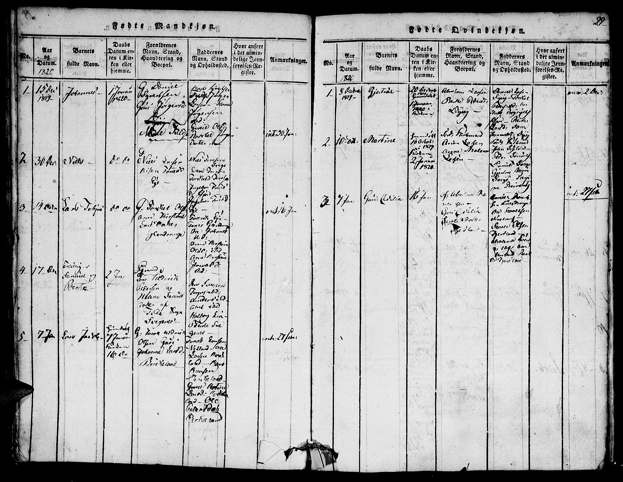 Flekkefjord sokneprestkontor, AV/SAK-1111-0012/F/Fa/Fac/L0002: Parish register (official) no. A 2, 1815-1826, p. 29